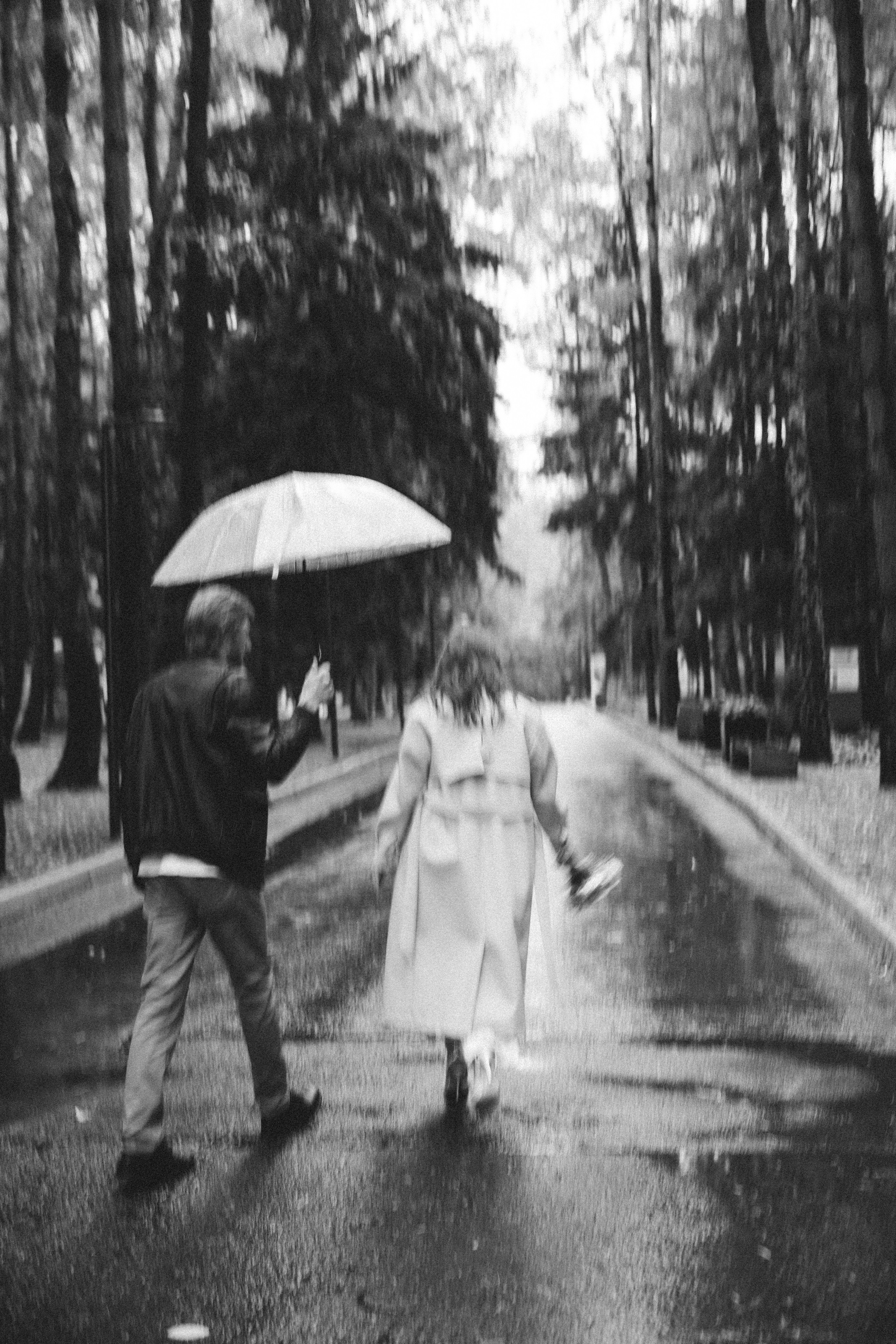 Алина и Кирилл свадьба в Парке Елочки Домодедово. Свадебный фотограф Домодедово Москва Катерина Алехина