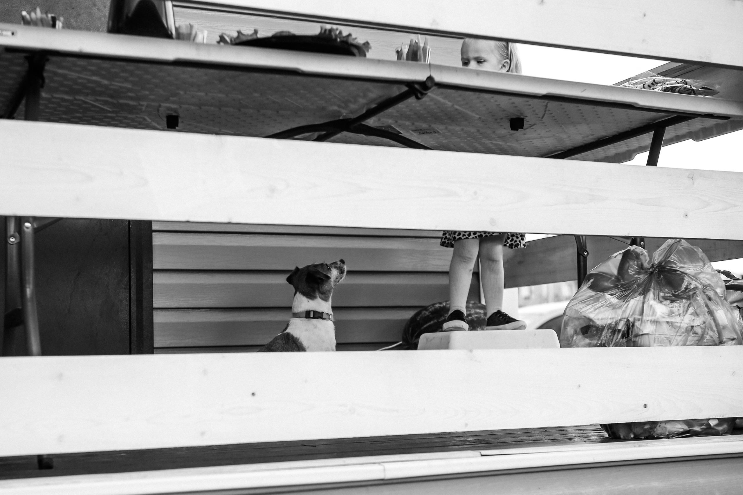 Свадебный и семейный фотограф Домодедово, Подольск, Москва.