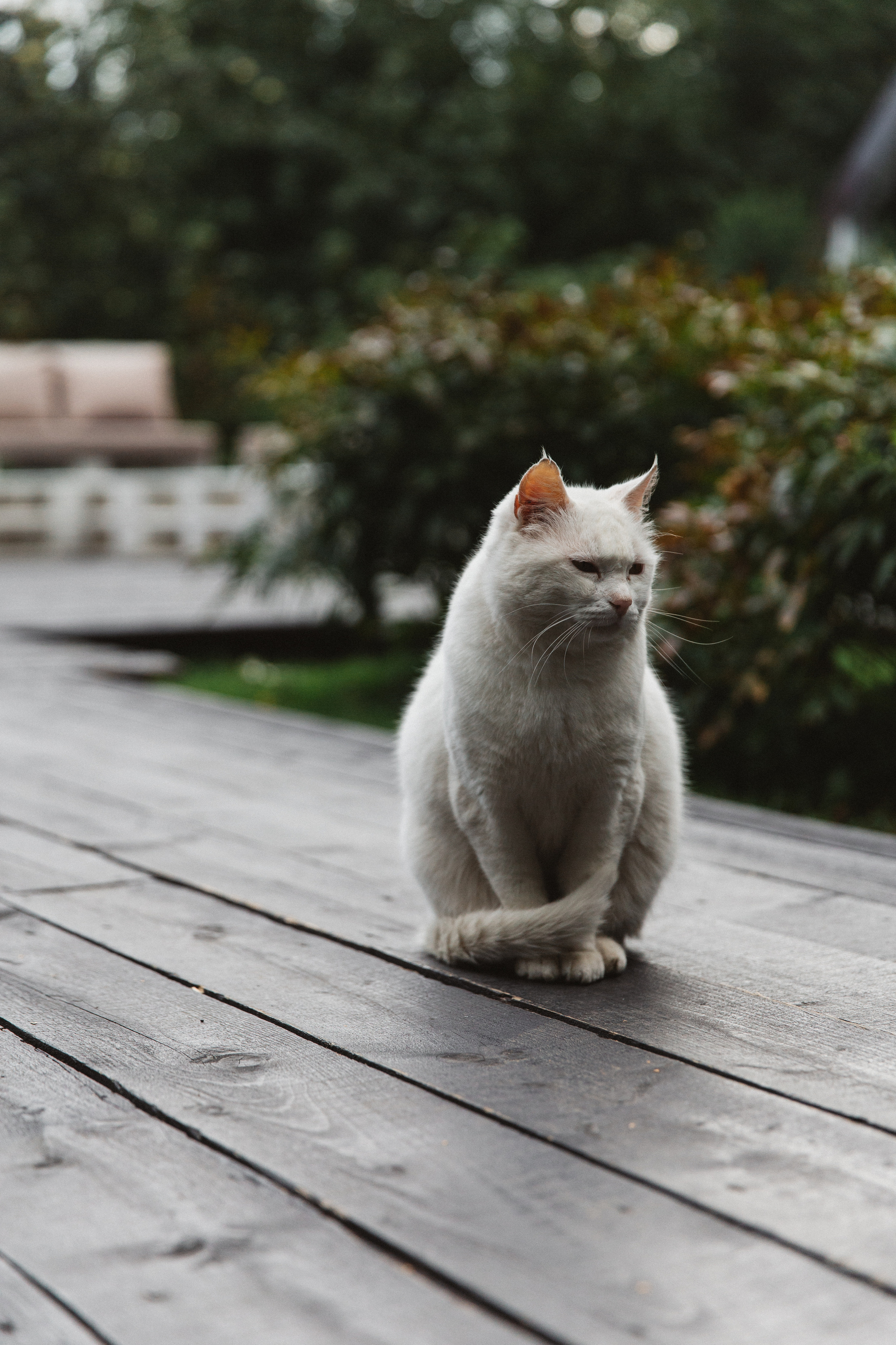 Катерина и Станислав свадьба в Зале у Озера. Свадебный фотограф Домодедово Москва Катерина Алехина