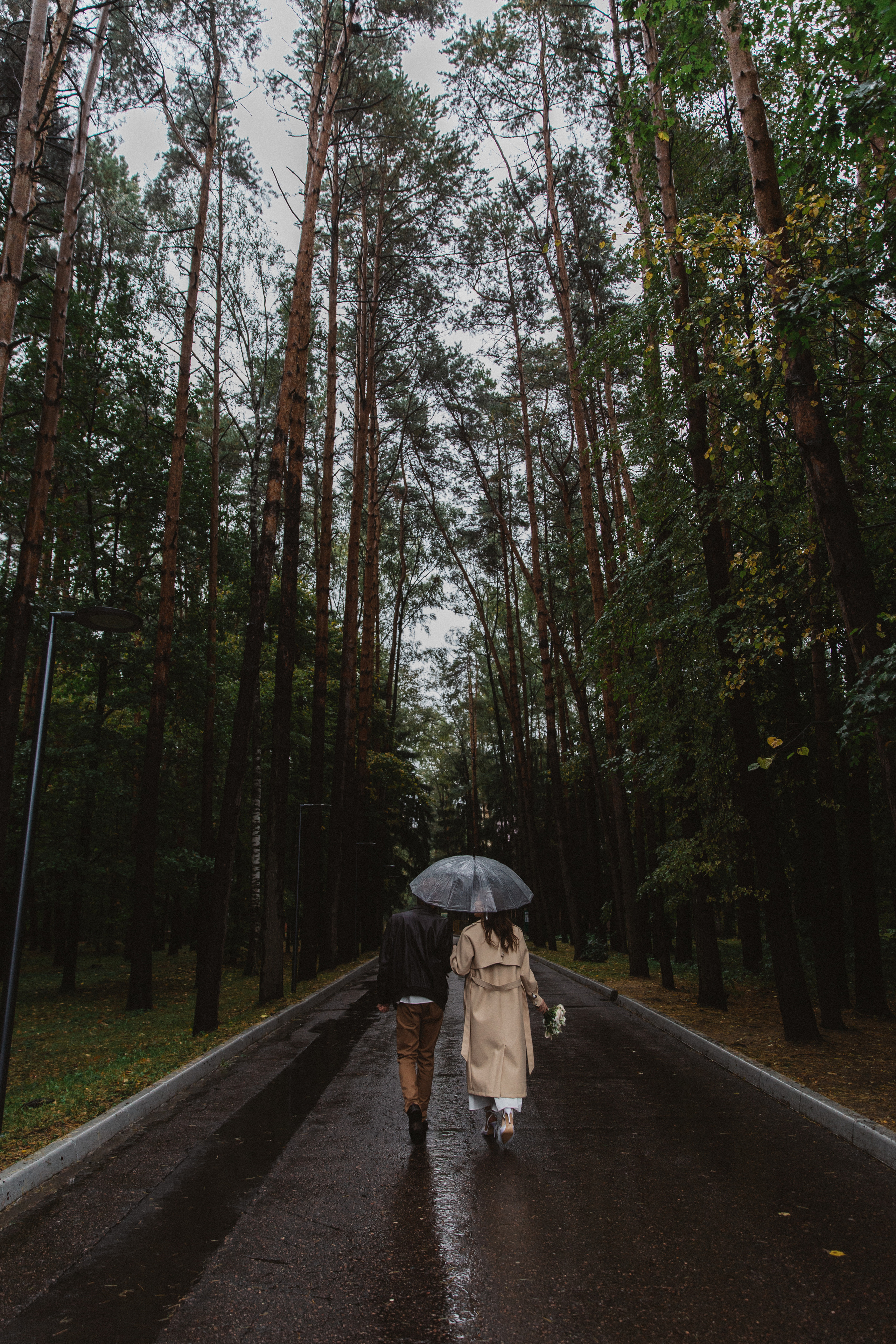 Анонс свадебных фотографий Алины и Кирилла. Свадебный фотограф Домодедово Москва Катерина Алехина