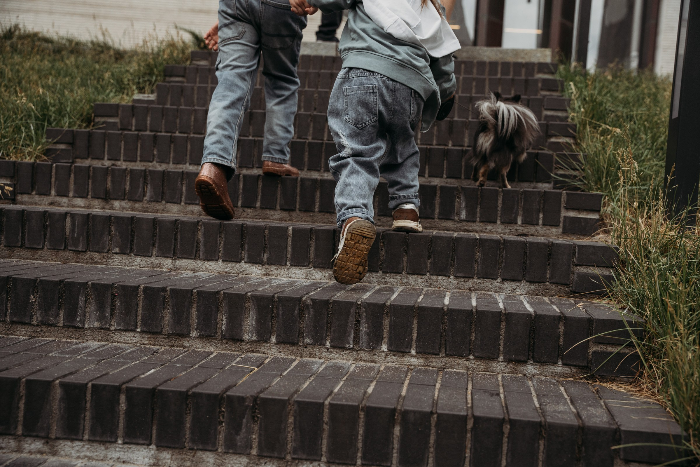 Дамы с собачкой. Семейный и детский фотограф в Москве