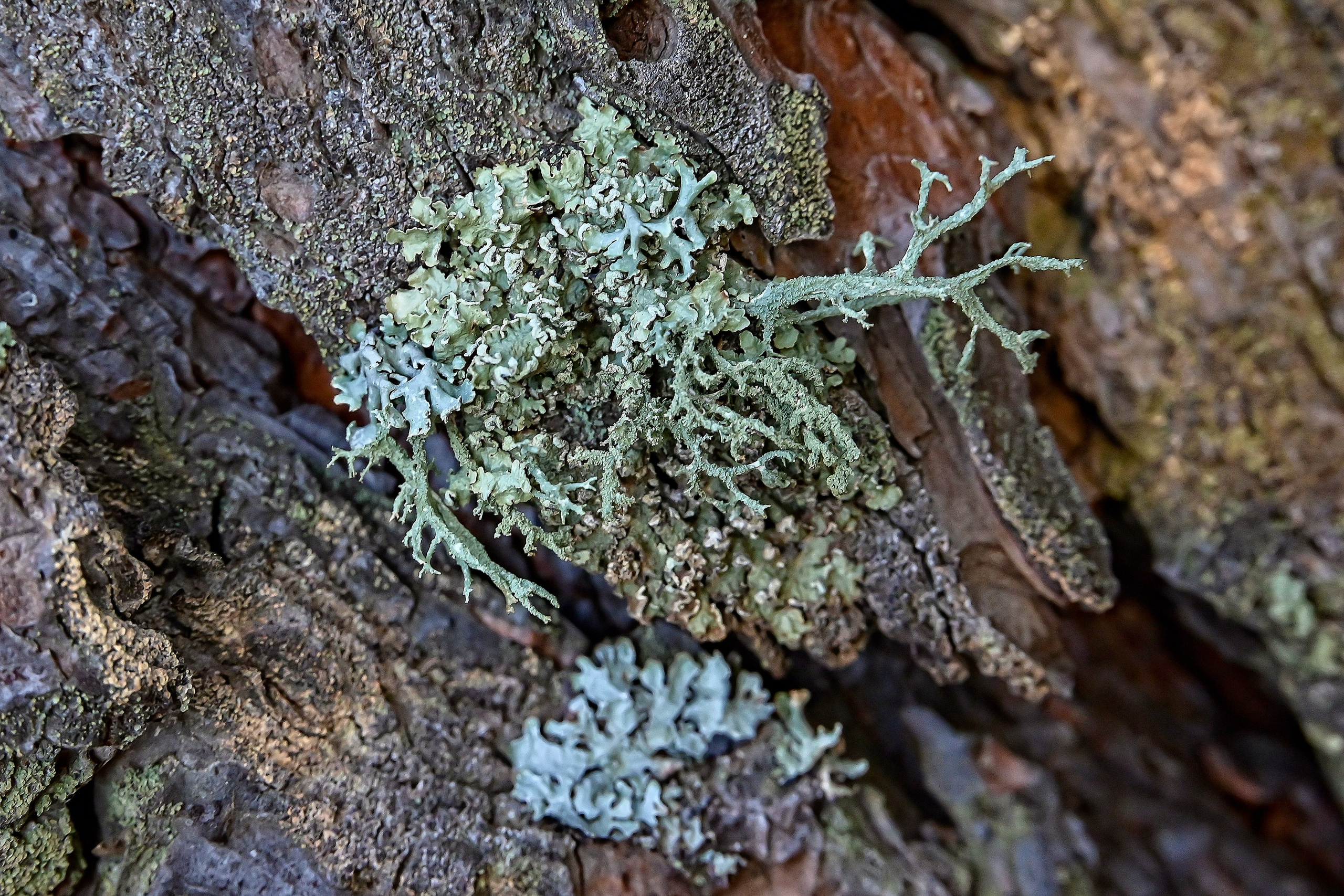 Осень. FotoGraf