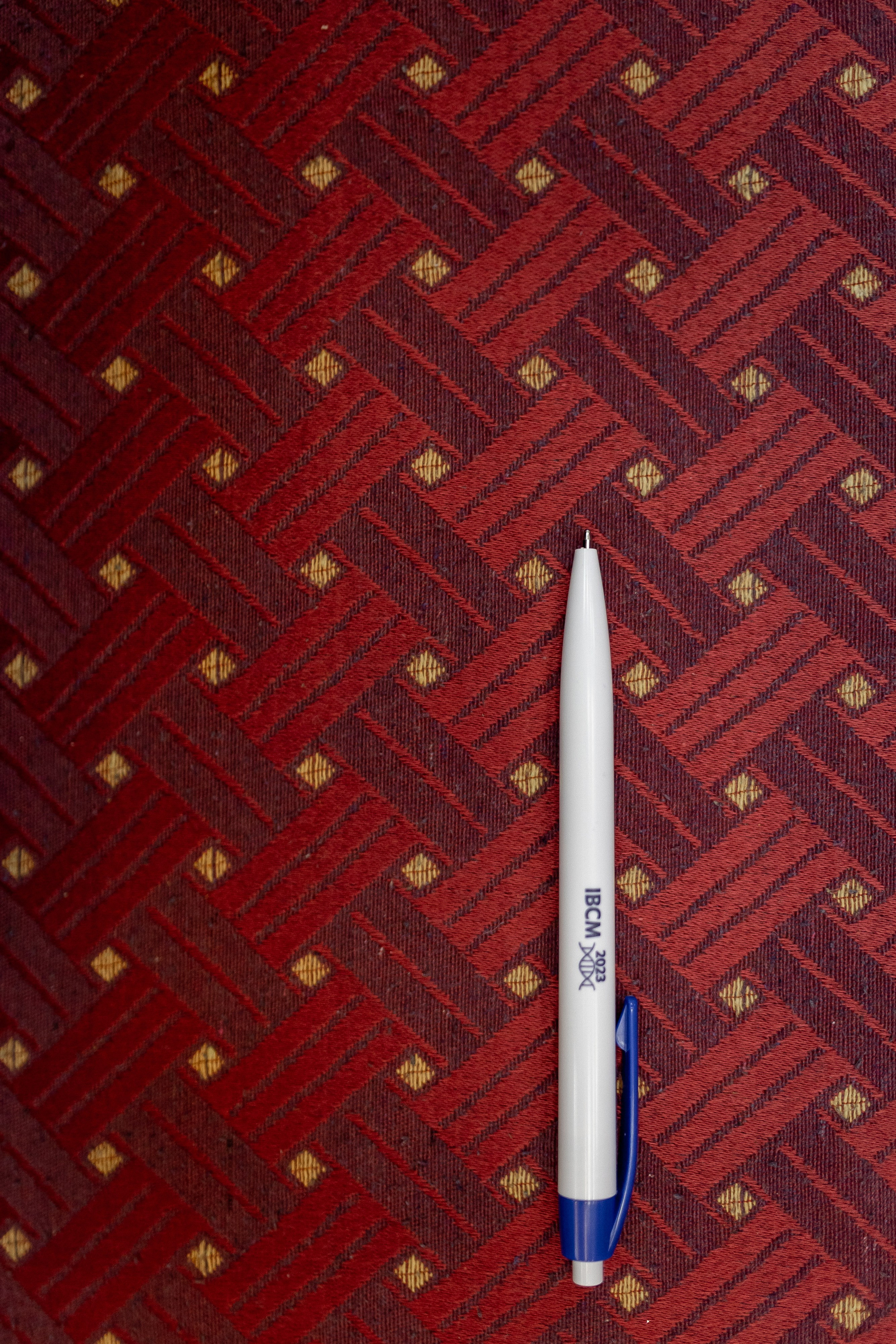 Научная конференция IBCM 2023. Свадебный и семейный фотограф в Калининграде Ольга Мешечкова