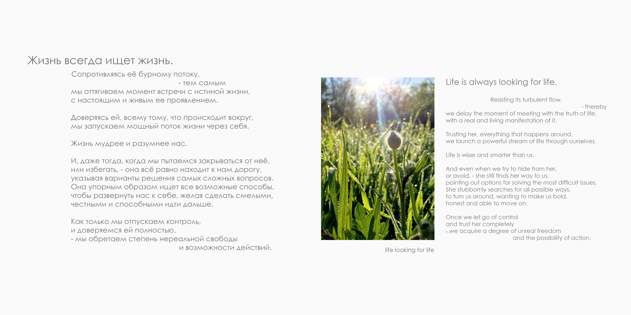 Алексей Дюжев. Ведущий событий. Фотографирую масштабные события, людей и их истории по всему миру. Константин Трубников