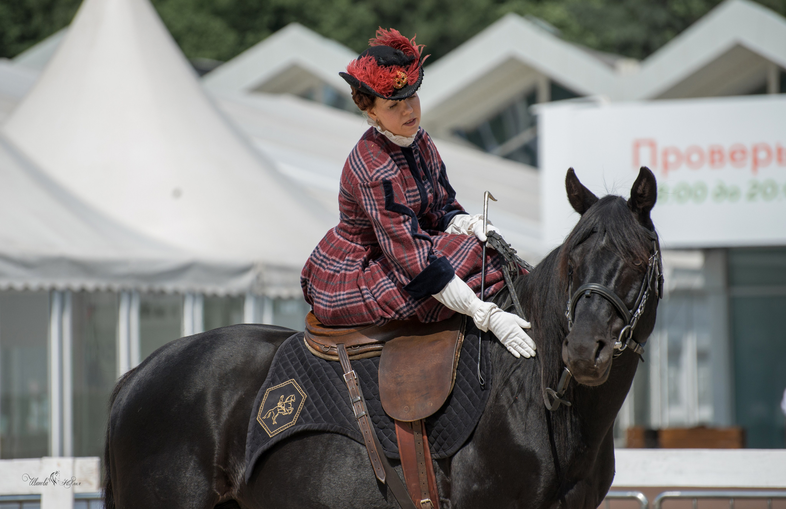 Эквирос, Москва. Конный фотограф в Саратове Юлия Иванова