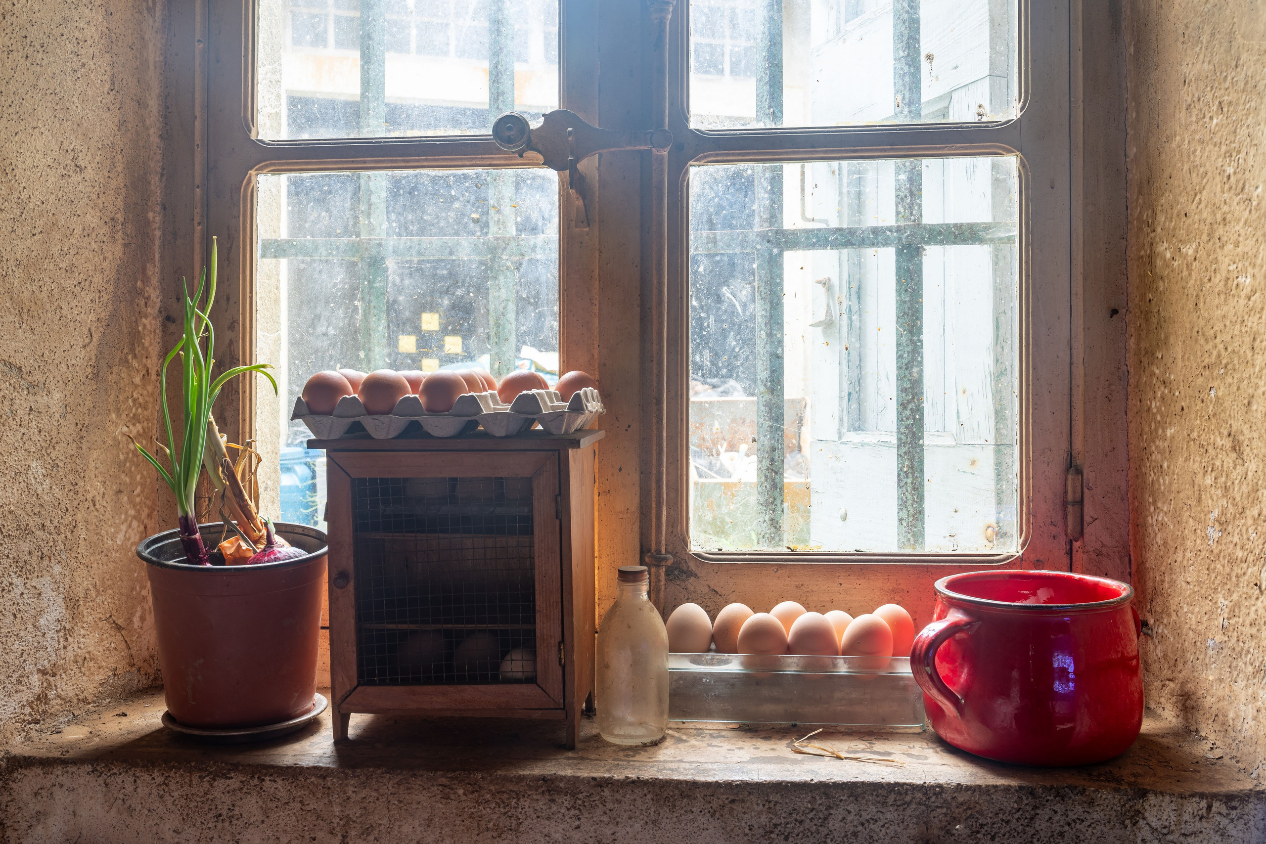 Château La Salvetat sur Agout. Полина Носкова интерьерный фотограф