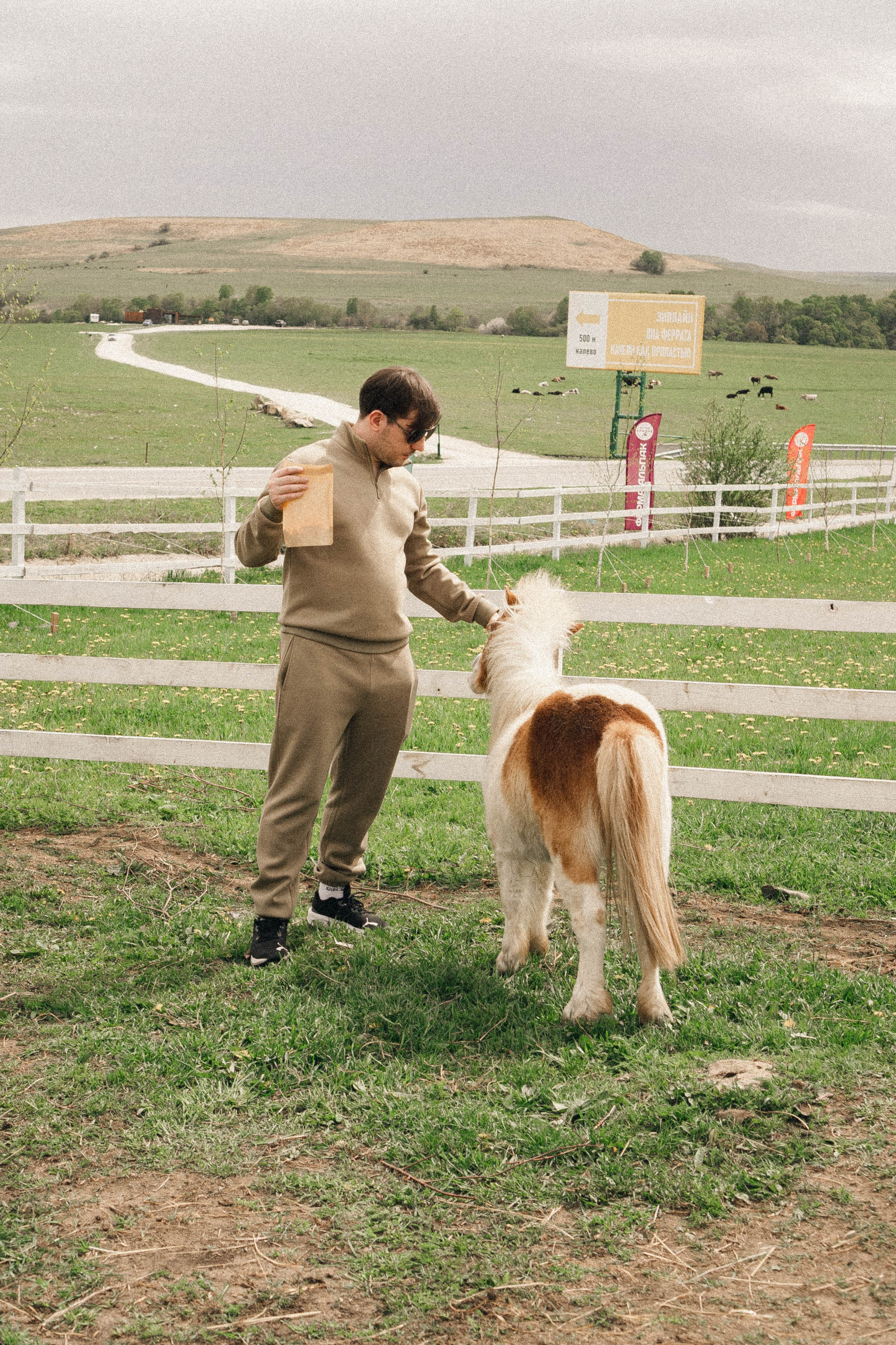 Ферма Альпак. Профессиональный фотограф, Санкт-Петербург — Виктория Богомолова