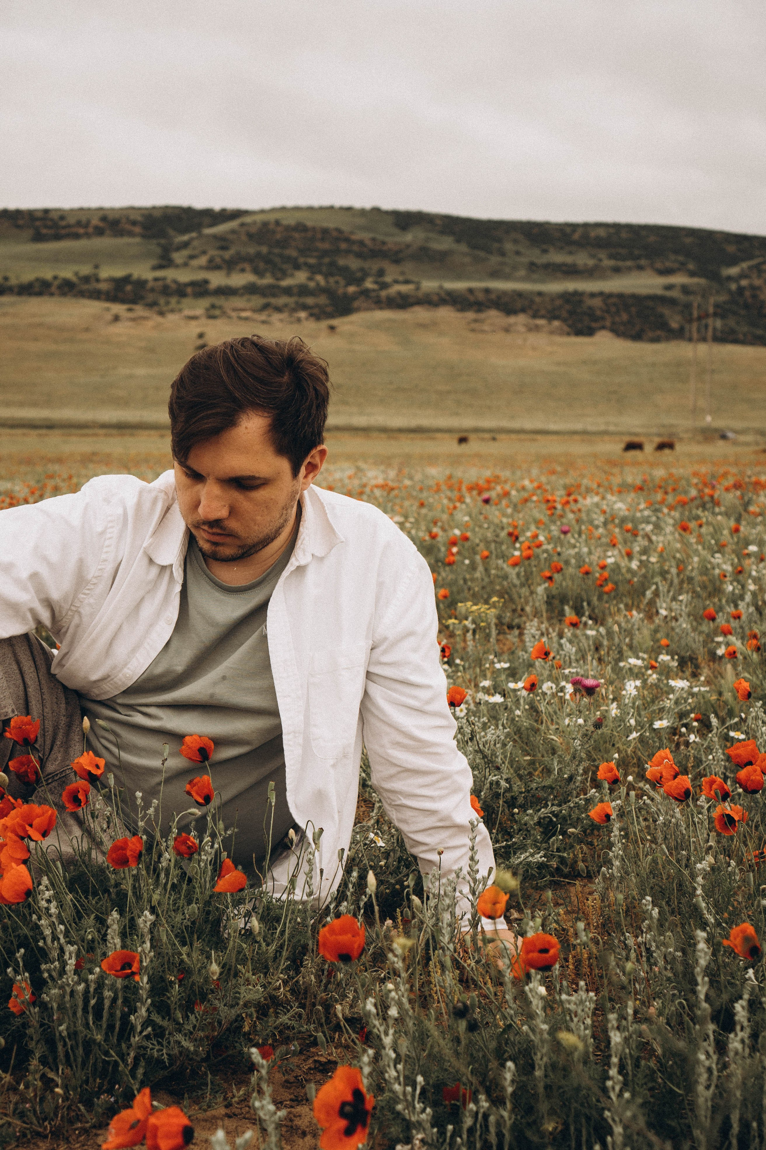 Маки. Профессиональный фотограф, Санкт-Петербург — Виктория Богомолова