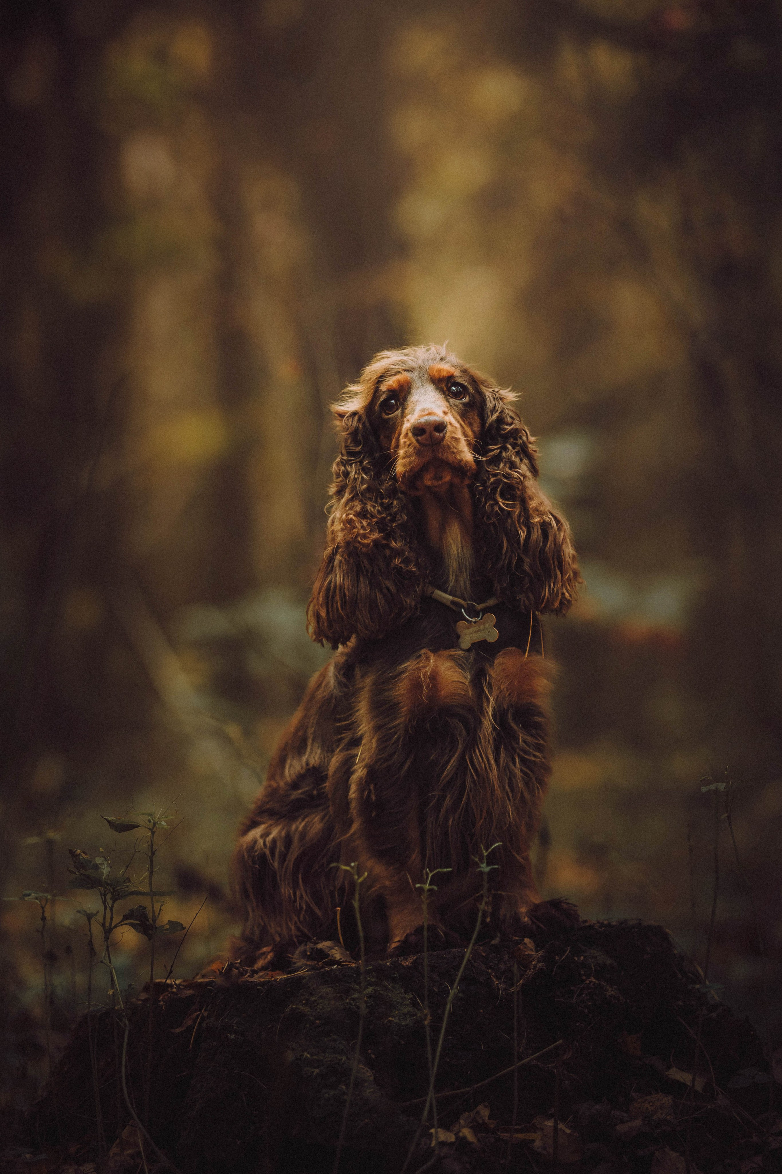 Настя, Саша и Эстер