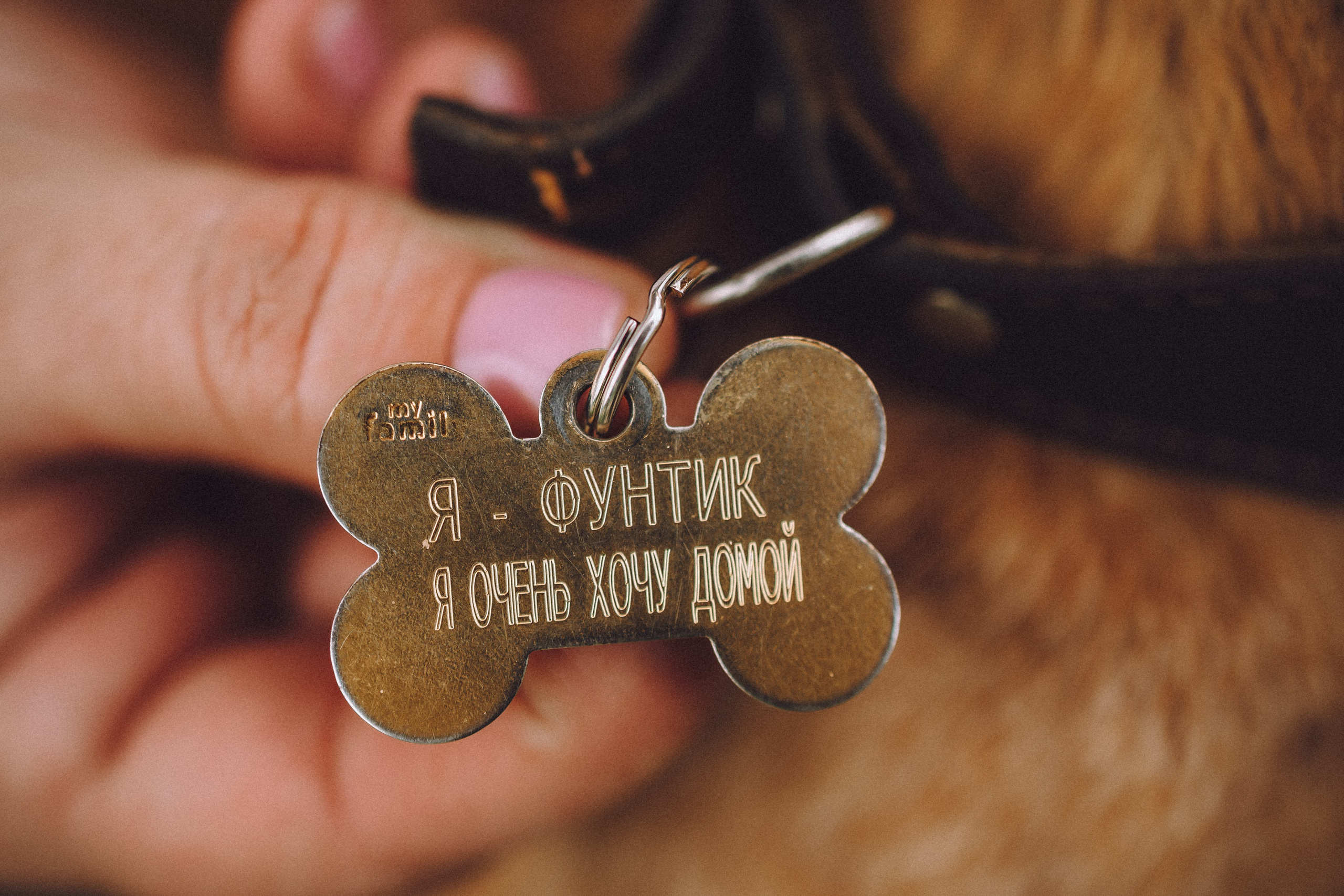 Груша, Данни, Фунтик и их семья