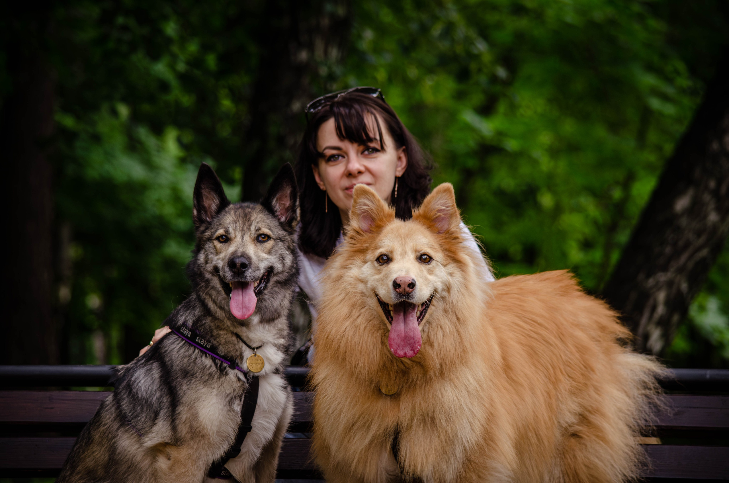 Мира и Чиж. Фотограф Светлана Блинова, Москва и Московская область