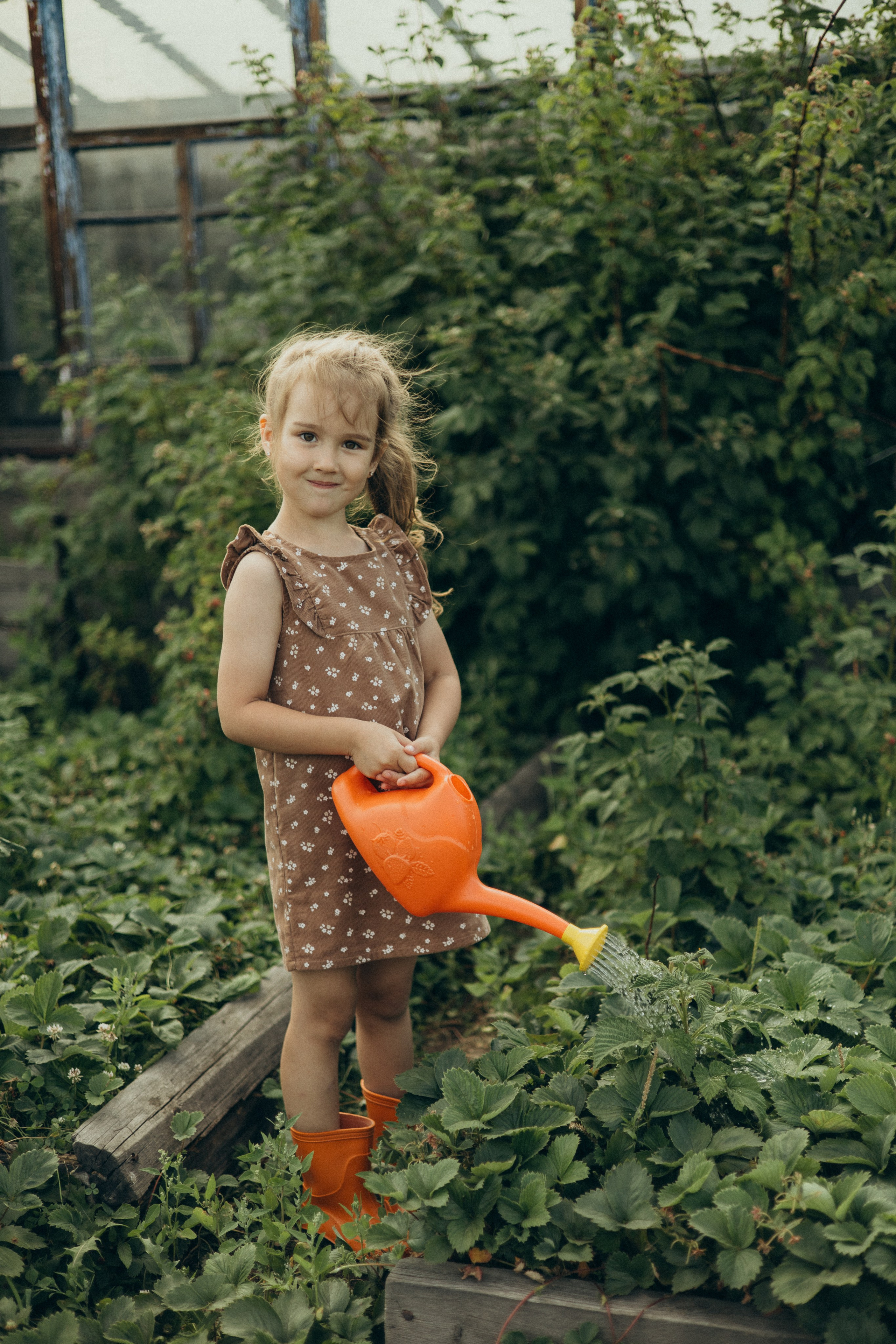 Хорошо в деревне летом…♡. Фотограф в г. Чита