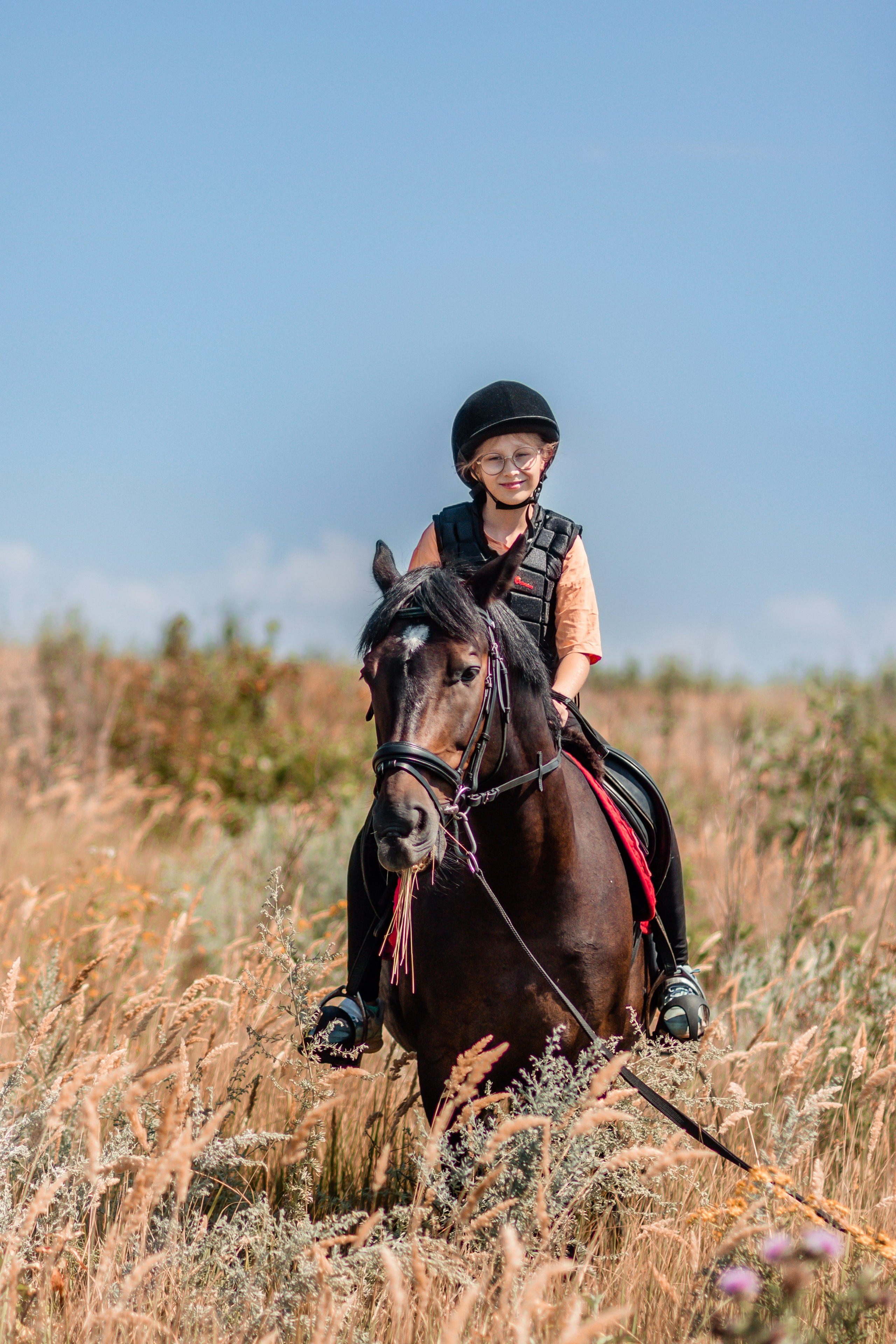Выезды в поля на лошади