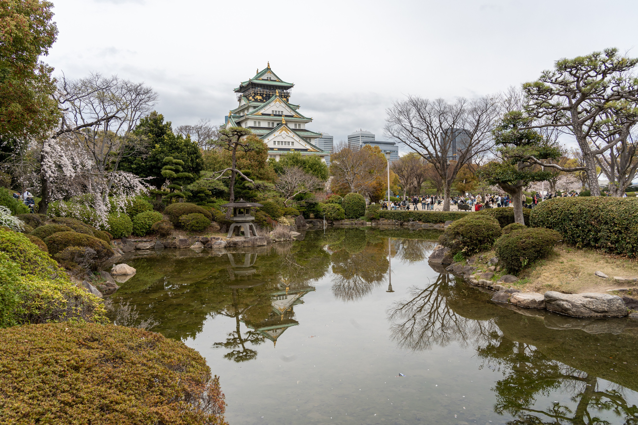 Япония, сакура. Творческие сьемки