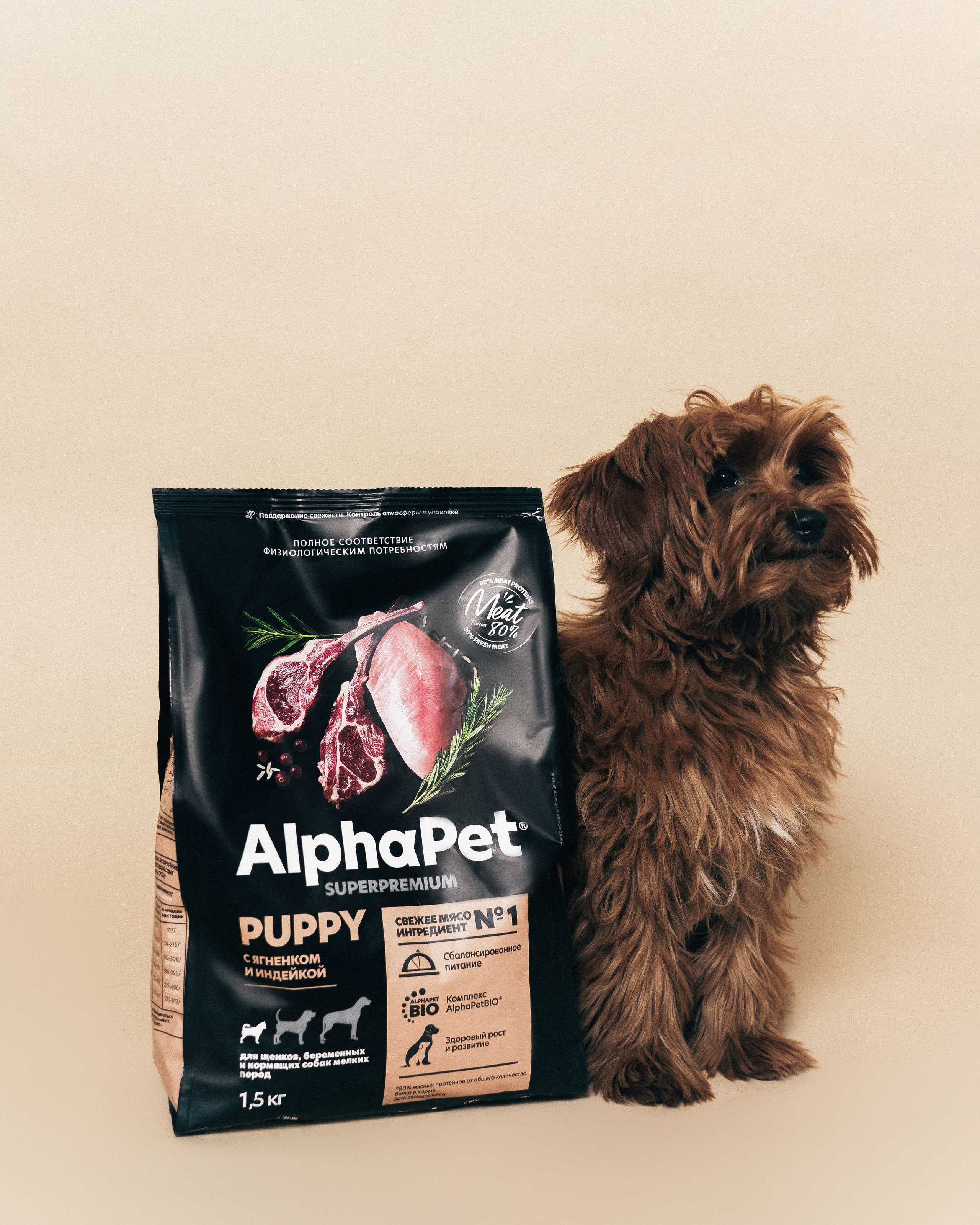 AlphaPet. Фотограф Москва