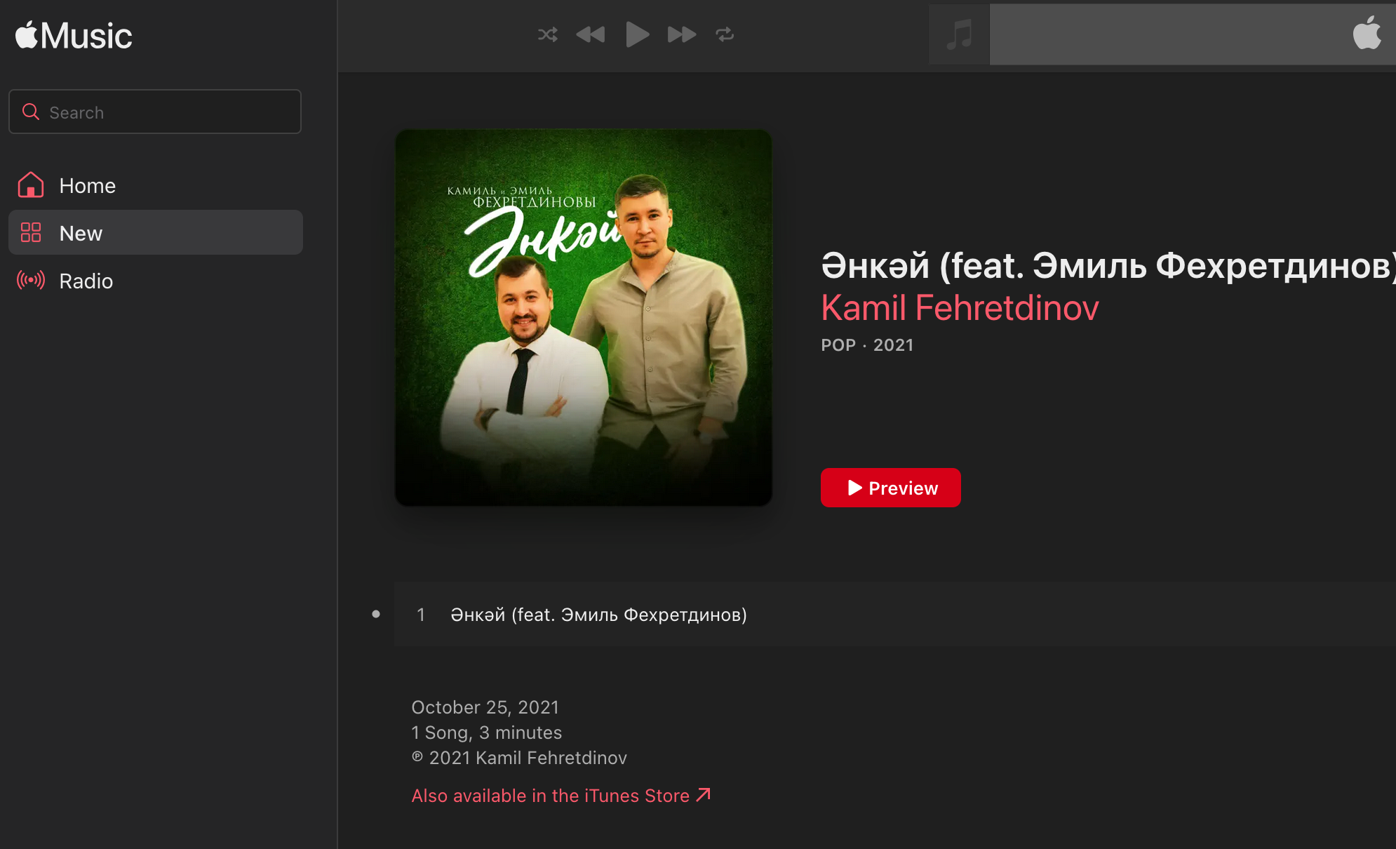 PRESS. New York photographer RINAT SHAHMETOV in New York city