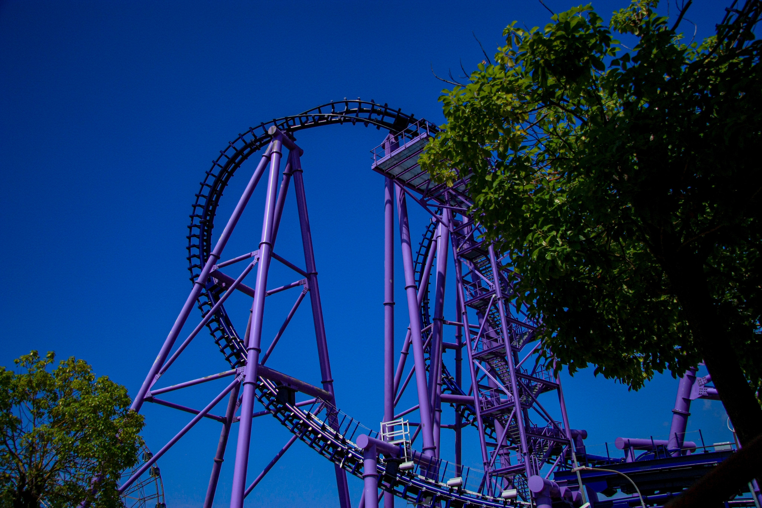 Первые кадры. Сочи — парк. Фотограф Роман Адлер