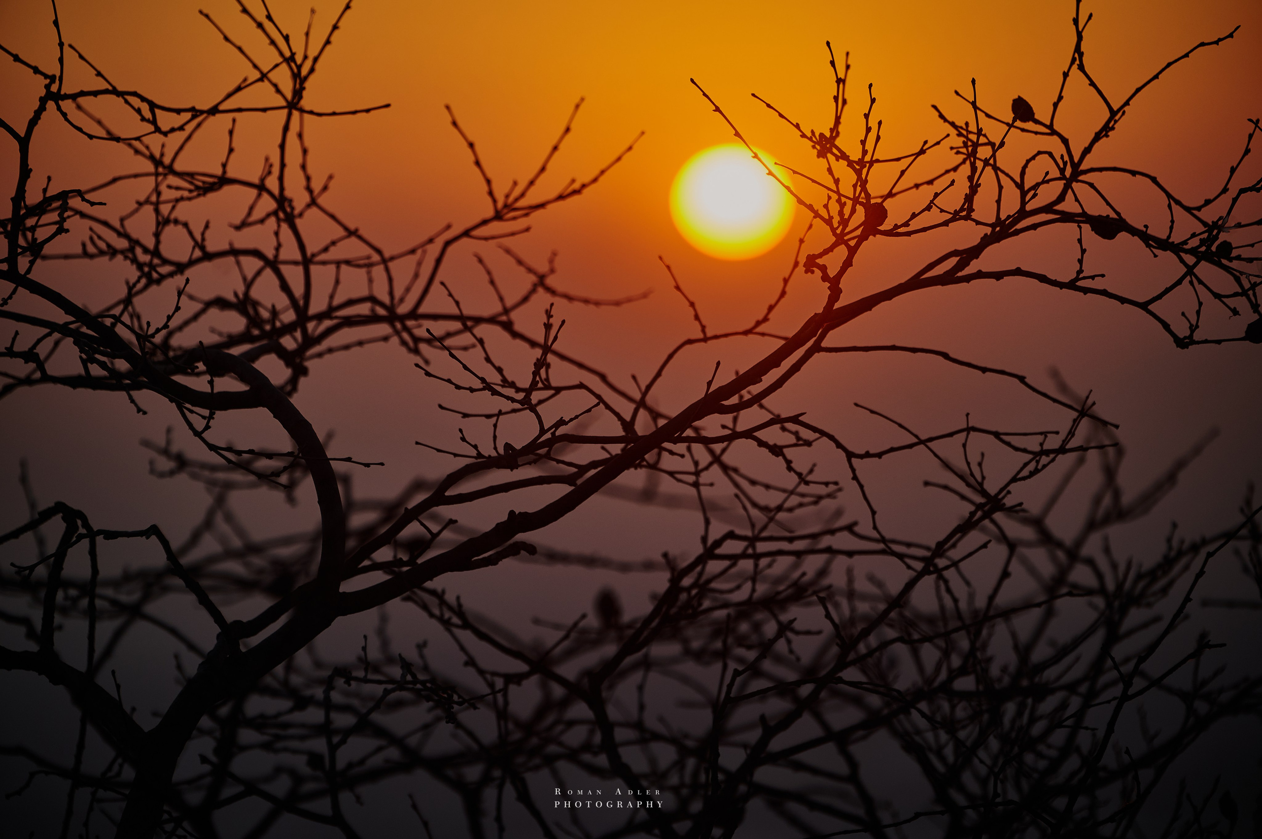 Рассвет на храмовой горе Юнмень. Цинчжоу. Фотограф Роман Адлер