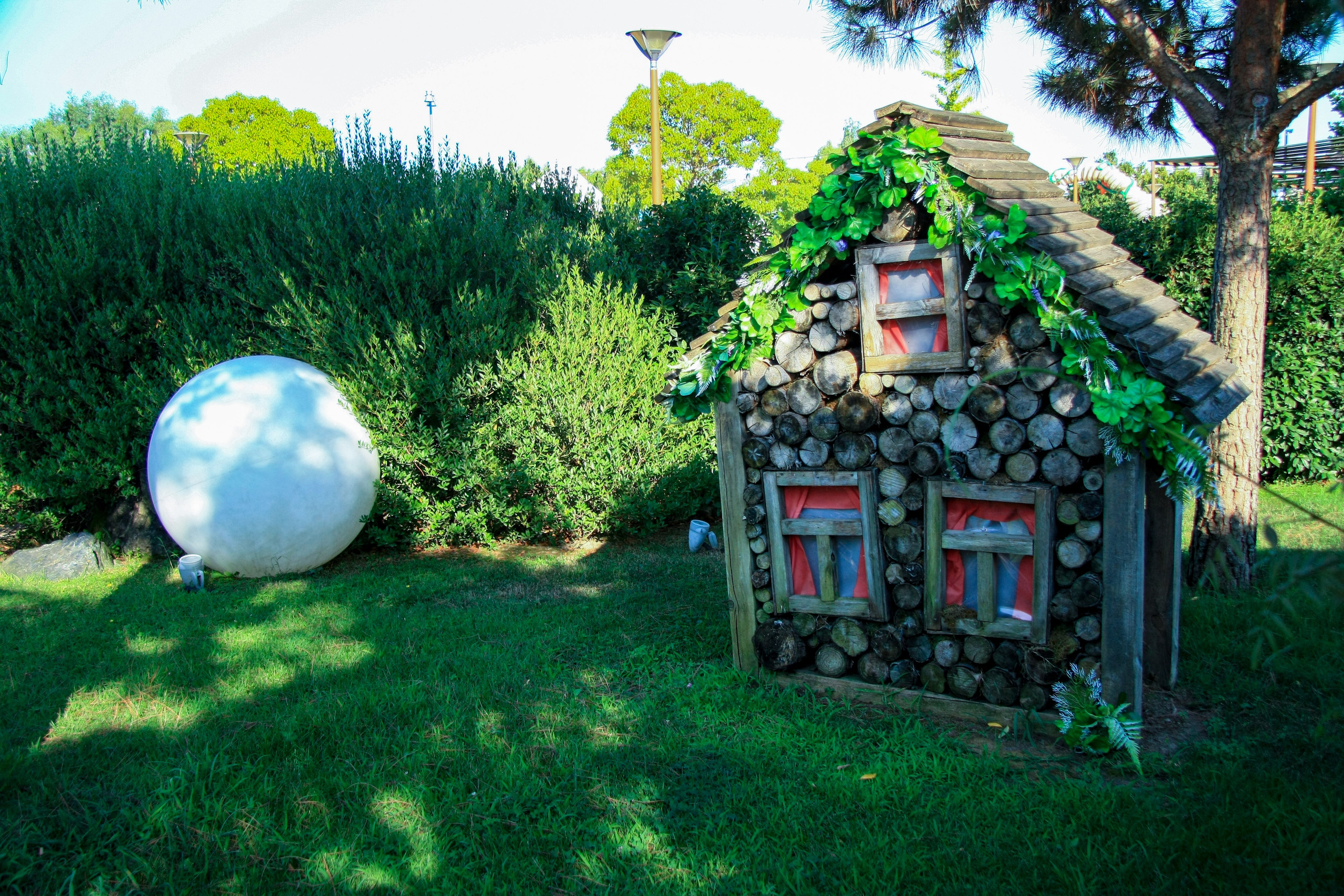 Первые кадры. Сочи — парк. Фотограф Роман Адлер