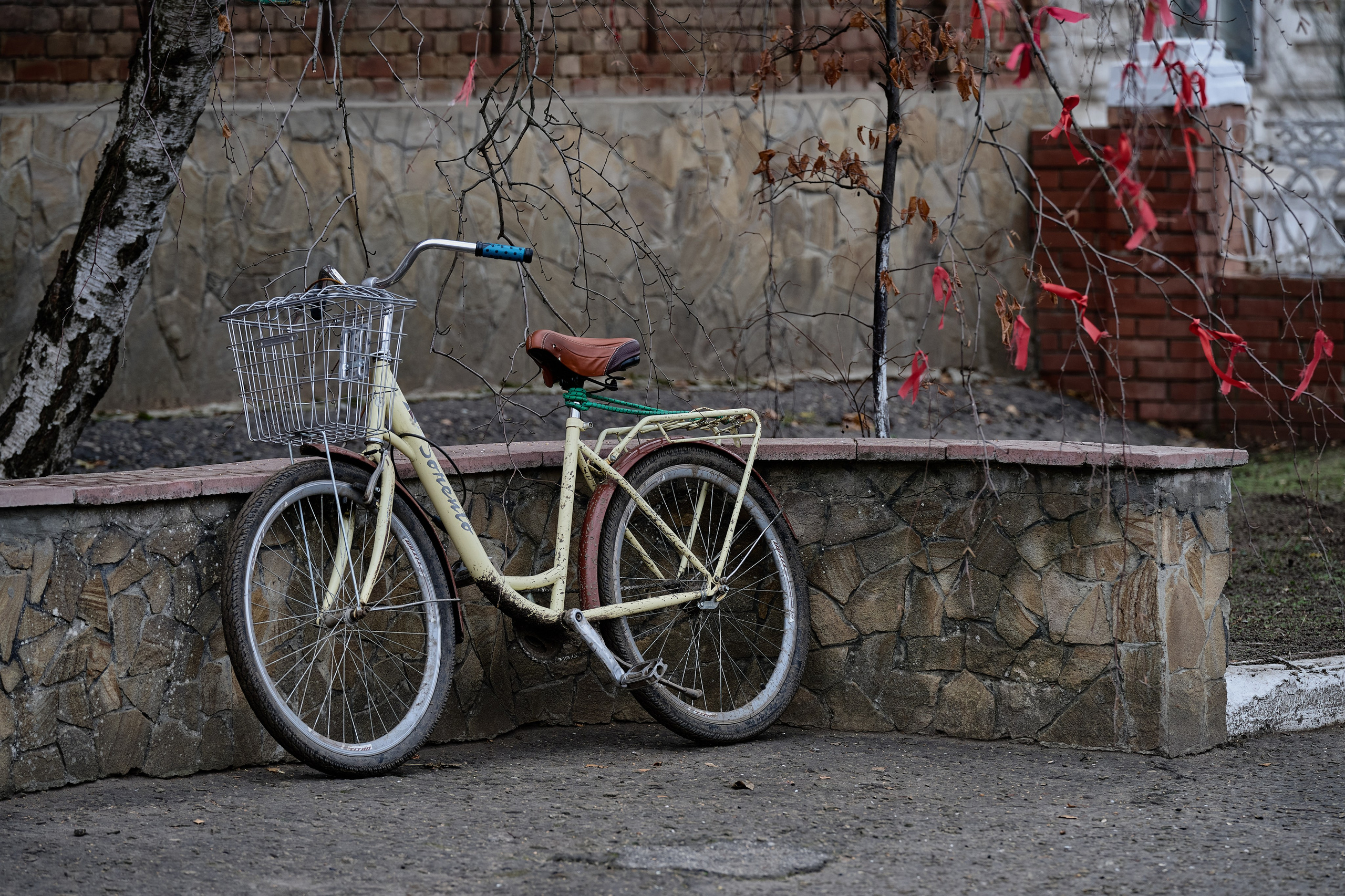 Старобельск. Декабрь 2024 года. Фотограф Роман Адлер