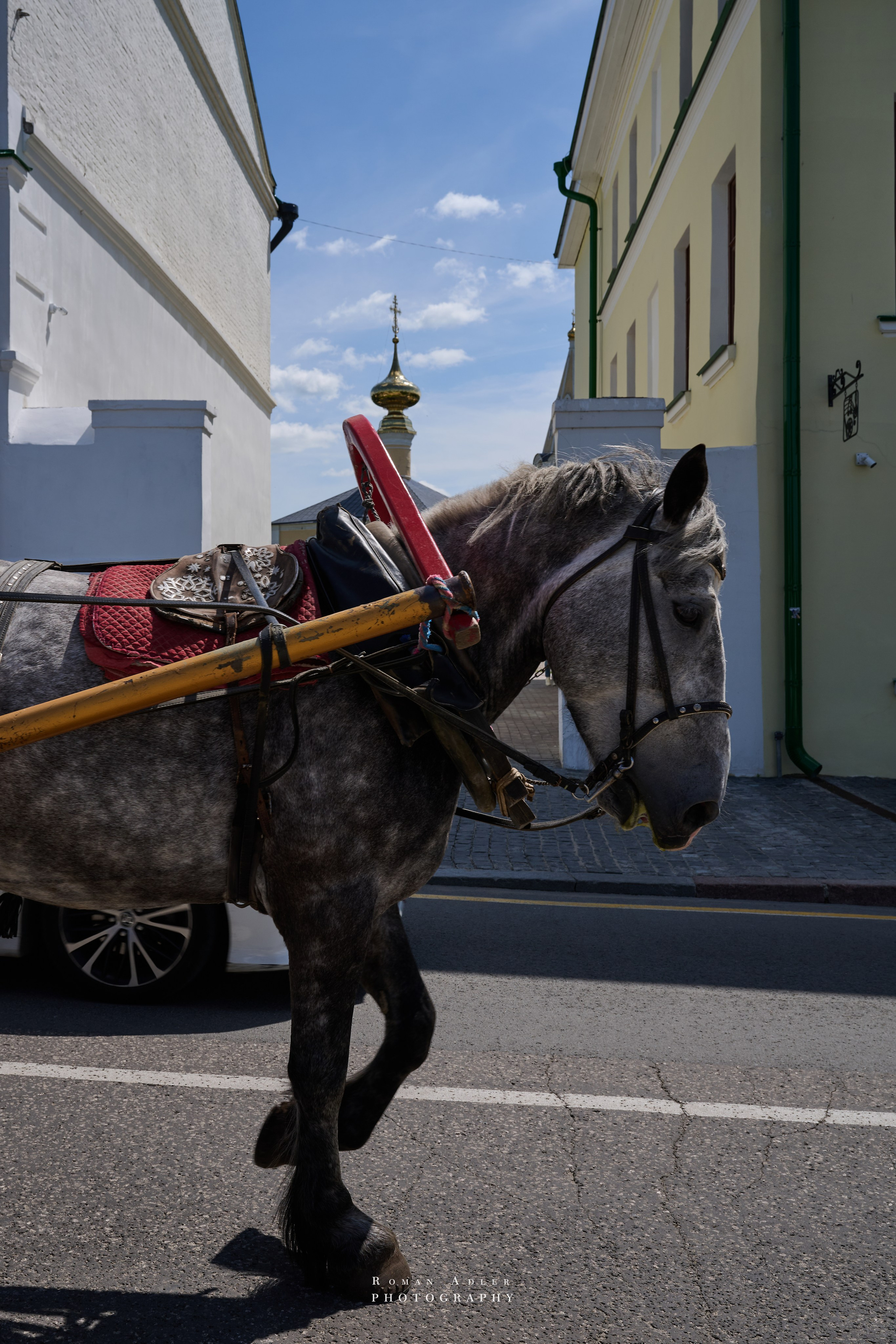 Суздаль. Июнь 2025. Фотограф Роман Адлер