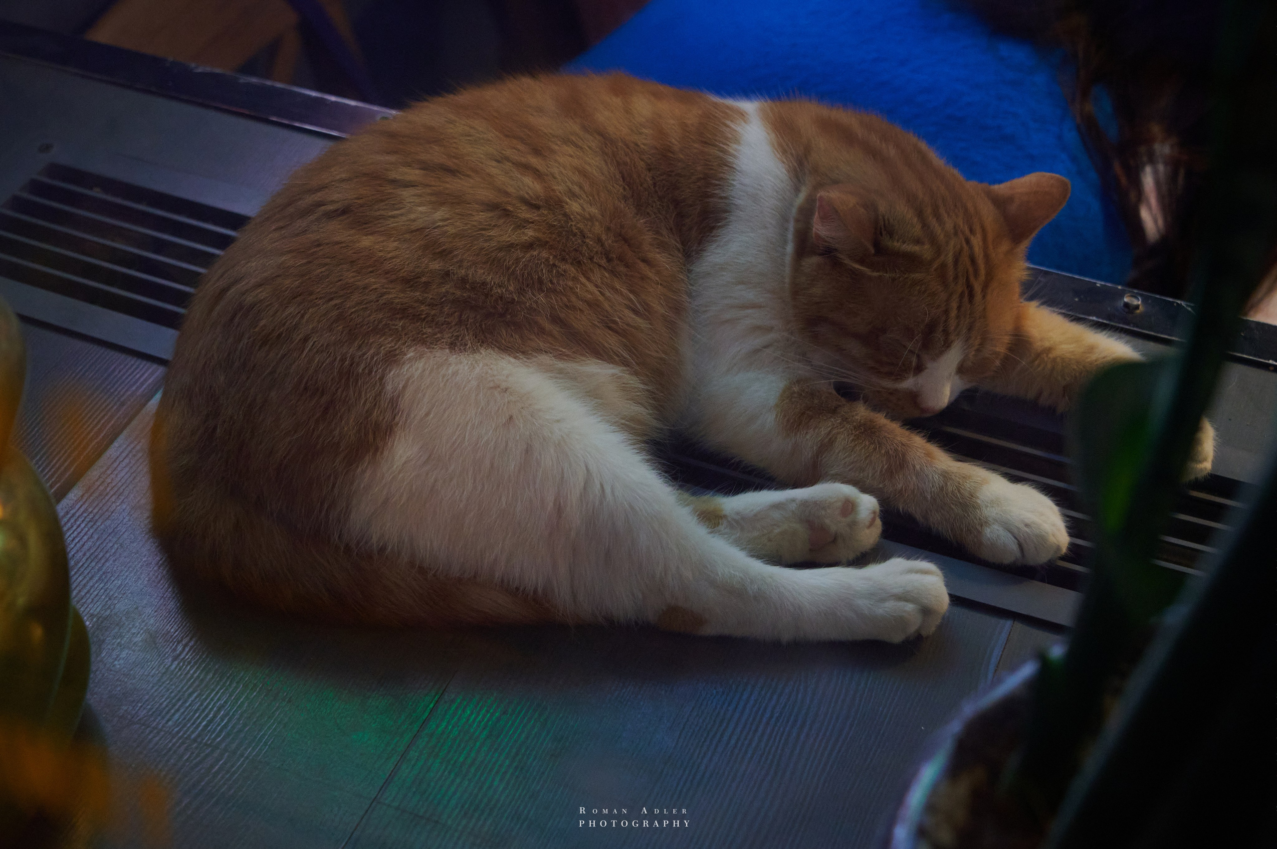 Ростов-на-Дону. Фотограф Роман Адлер