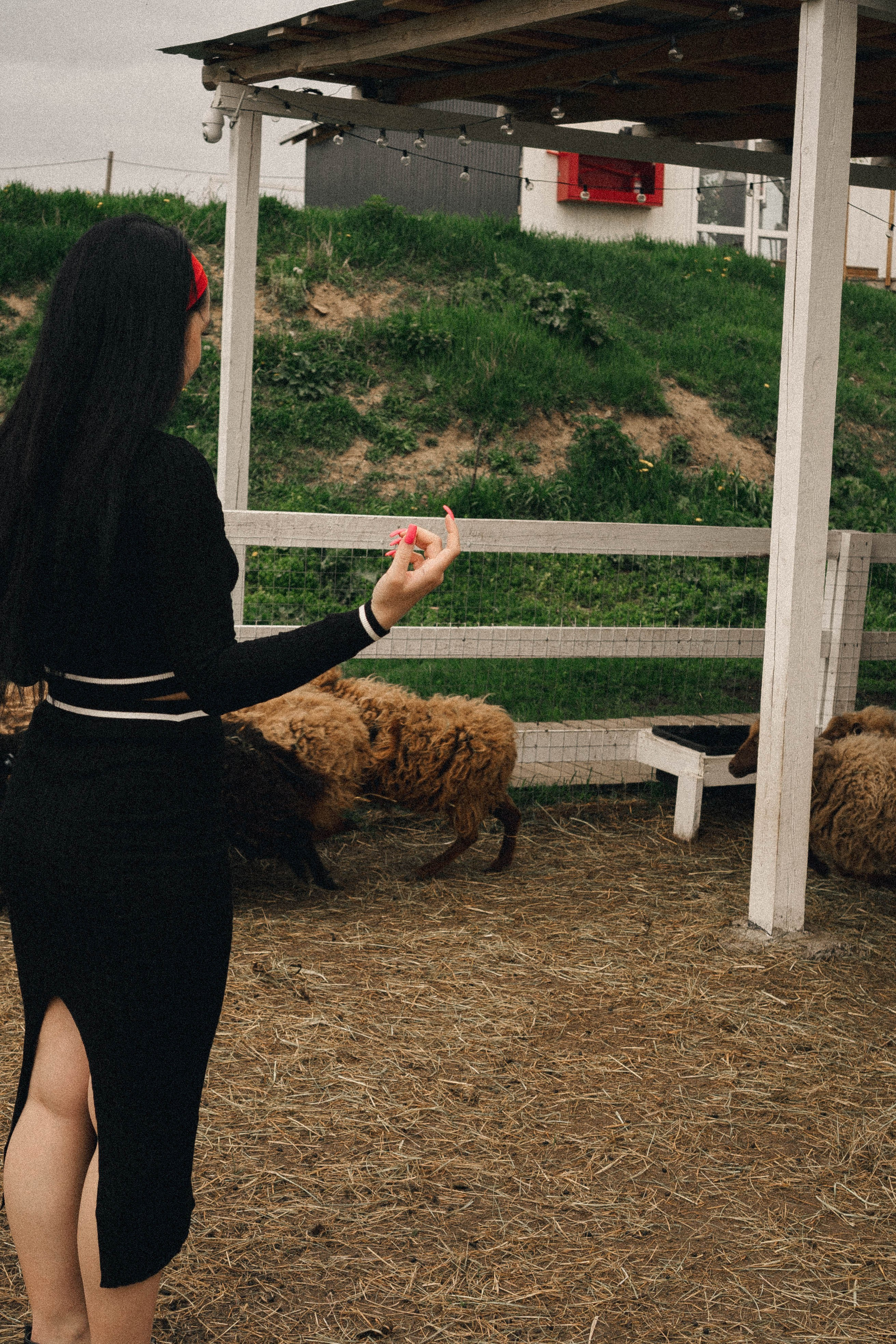 Ферма Альпак. Профессиональный фотограф, Санкт-Петербург — Виктория Богомолова