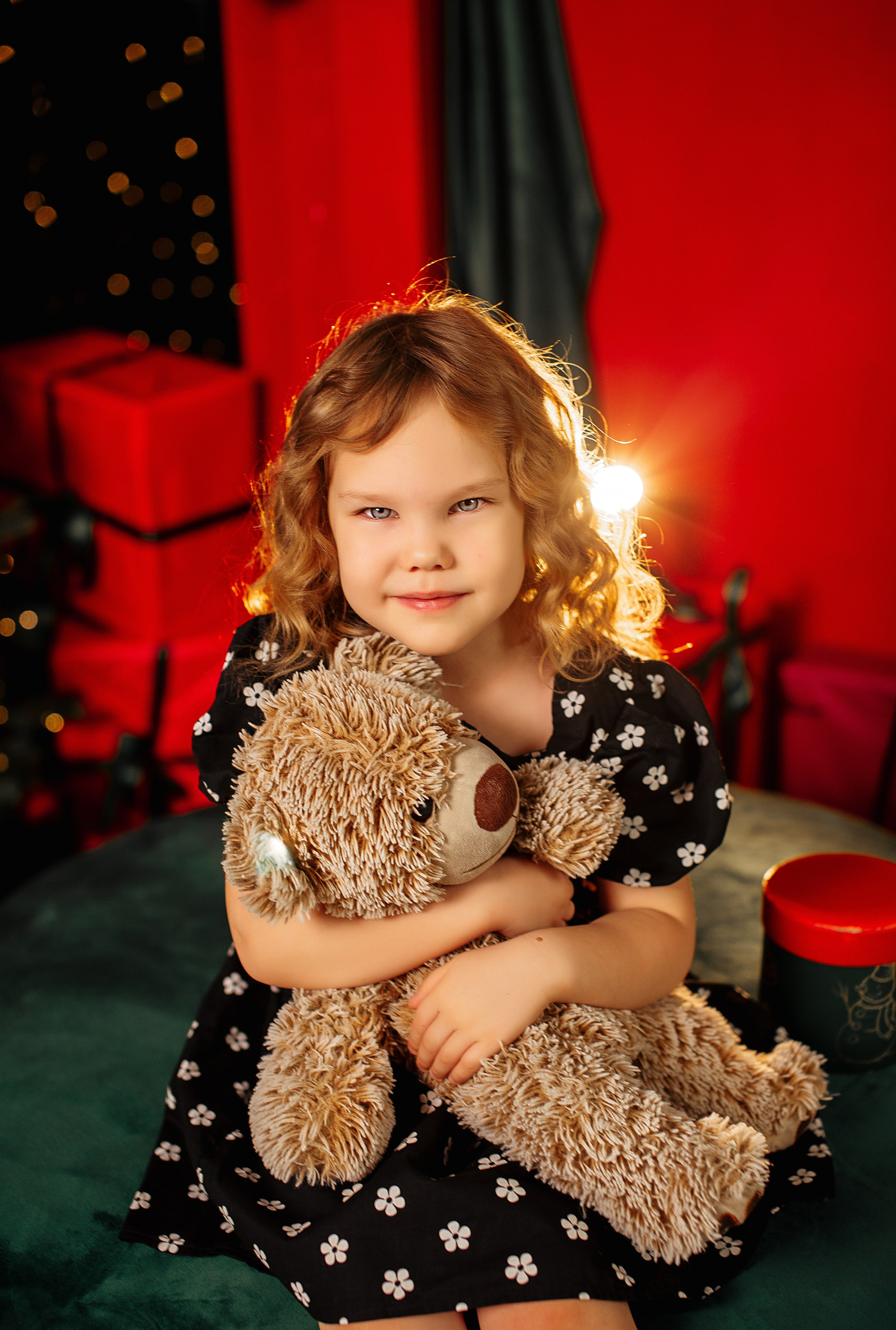 Новогодняя. Https://malovafoto.ru