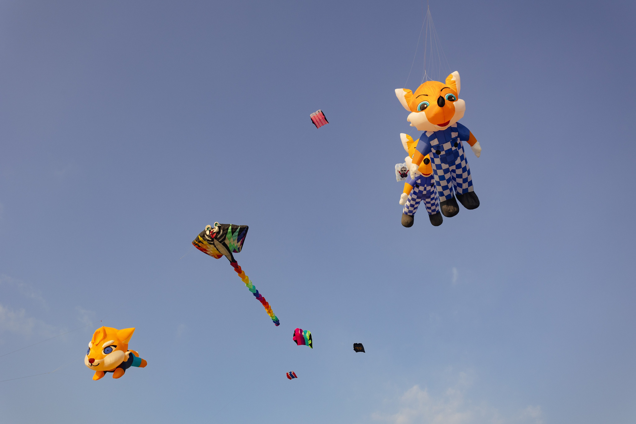 PATTAYA INTERNATIONAL KITE ON THE BEACH 2024. Photographer Sonkina Tatiana (Tanya Ash)