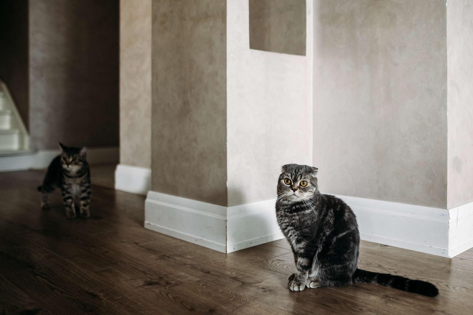 СЕМЕЙНЫЕ ВЫХОДНЫЕ. Свадебный фотограф в Ставрополе Сергей Шляхов