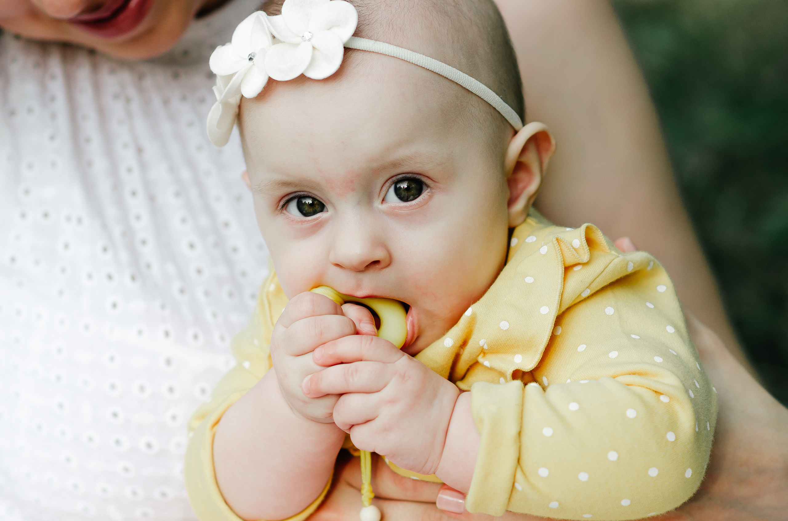 Семейная. Фотограф Anastasya Efimova