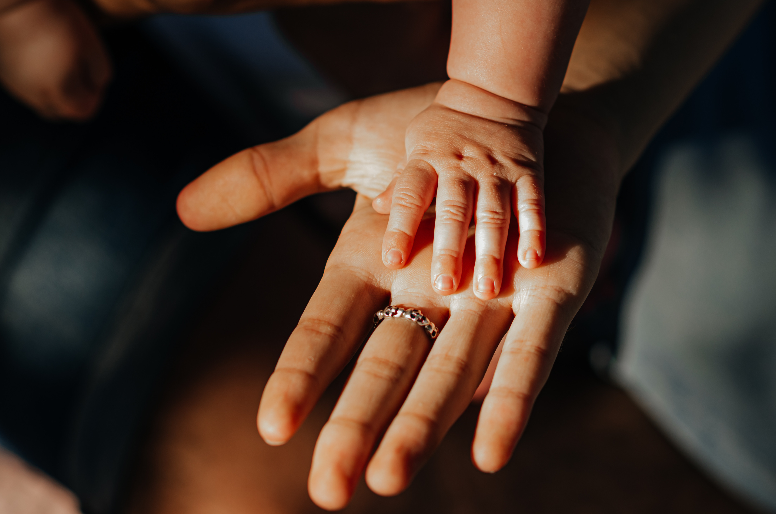 Семейная. Фотограф Anastasya Efimova