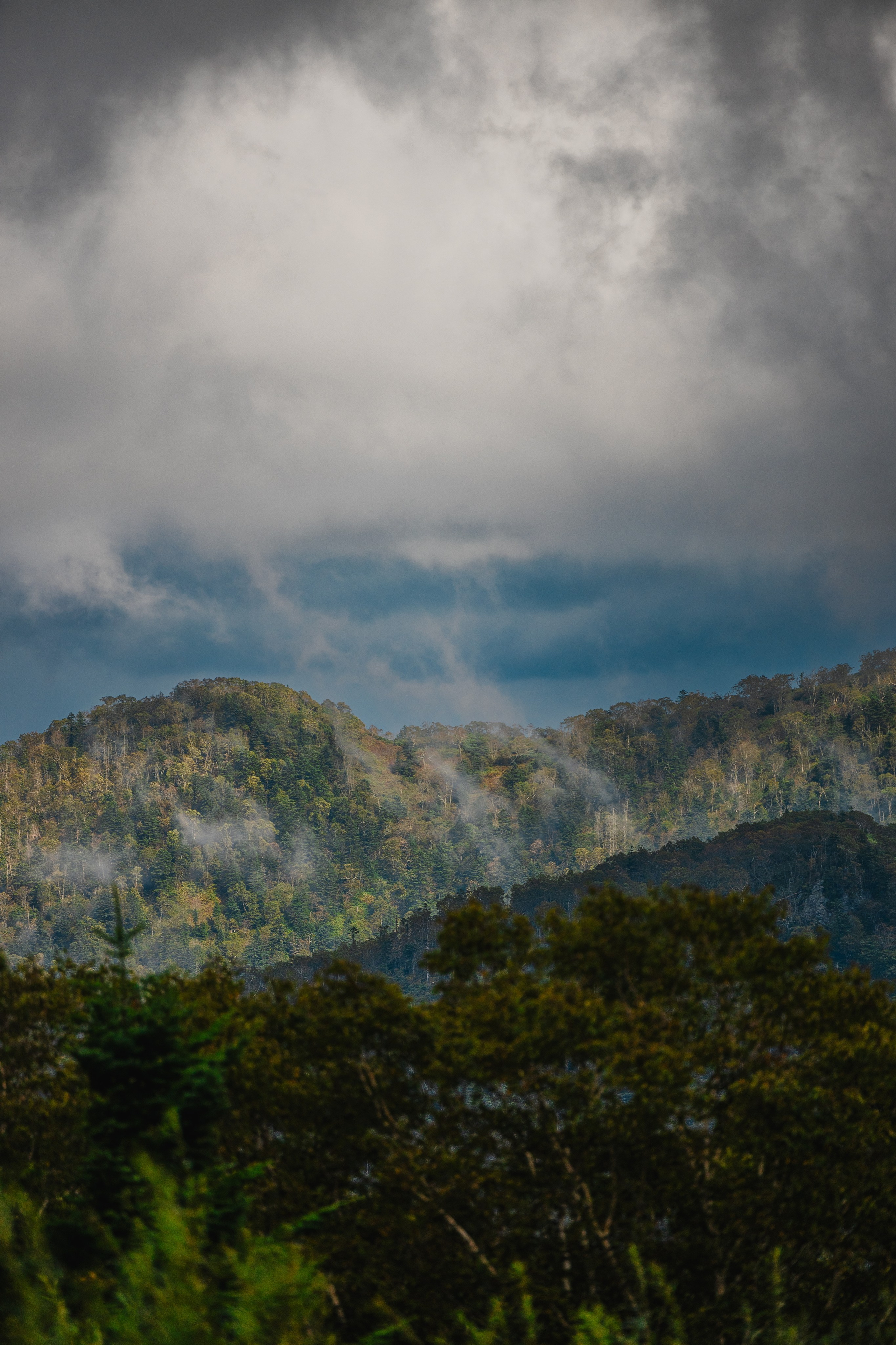 Фотографии фестиваля «Стройгерой 2025» Газстройпром — Сахалин