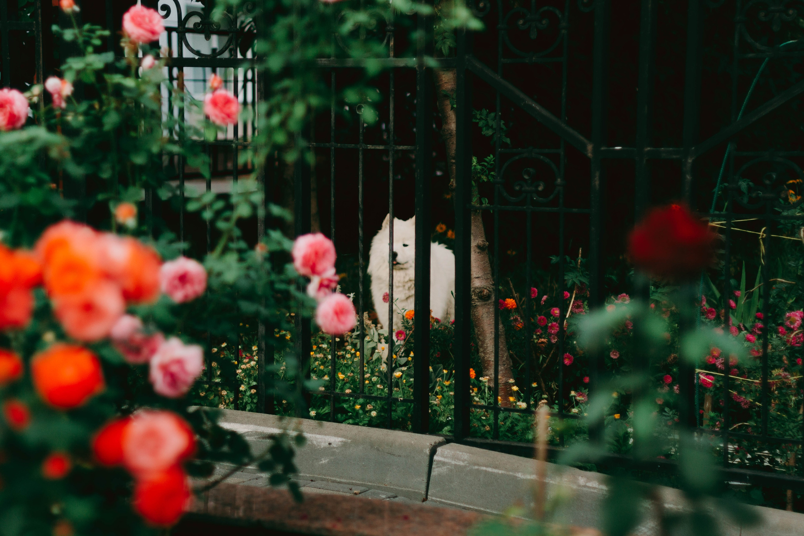 Настя и Илья. Свадебный фотограф в Санкт-Петербурге Рина Евтеева