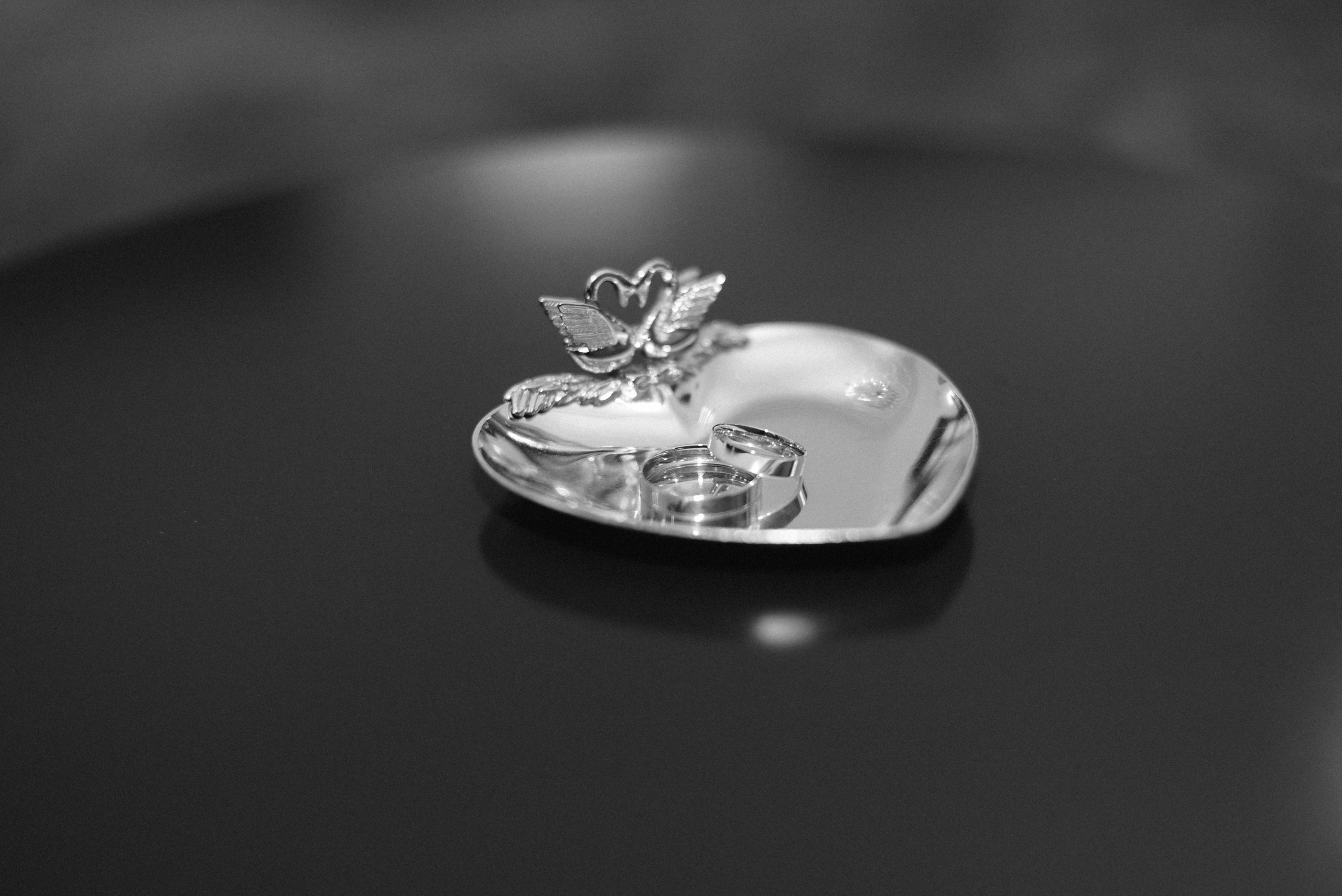 Ветреный день у Грибоедовского. Фотограф Лола Волна, город Москва