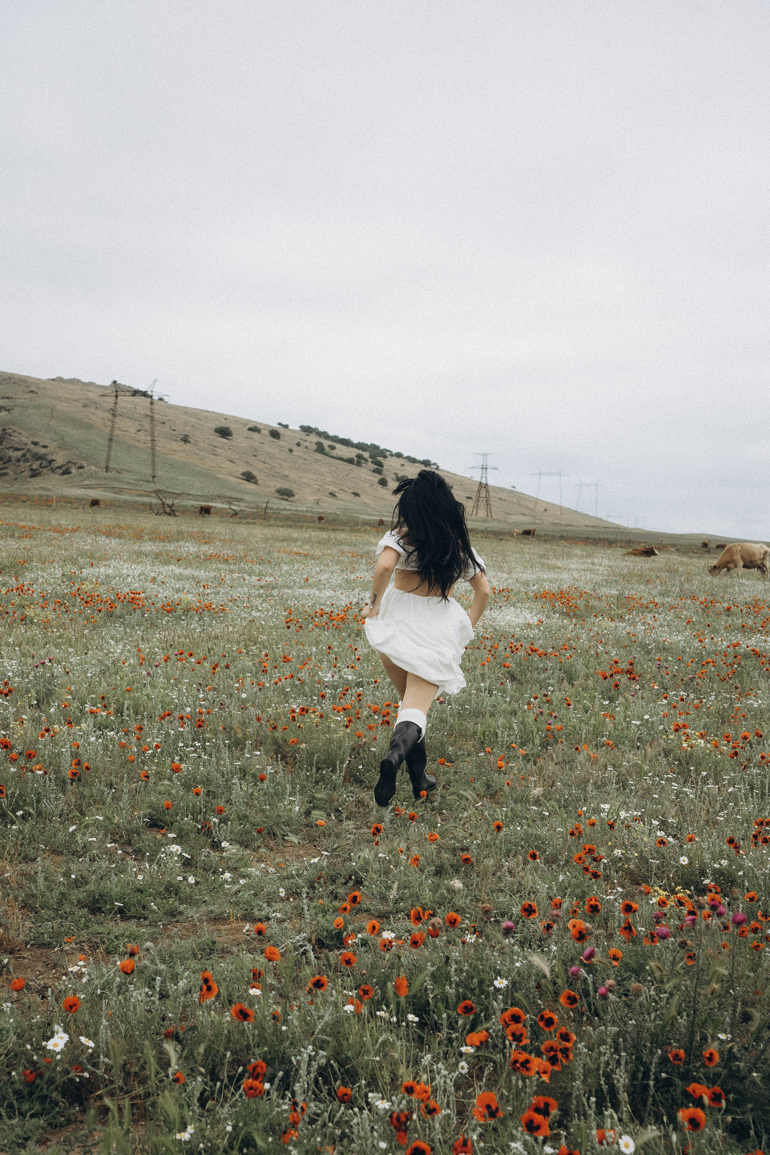 Маковое поле. Профессиональный фотограф, Санкт-Петербург — Виктория Богомолова