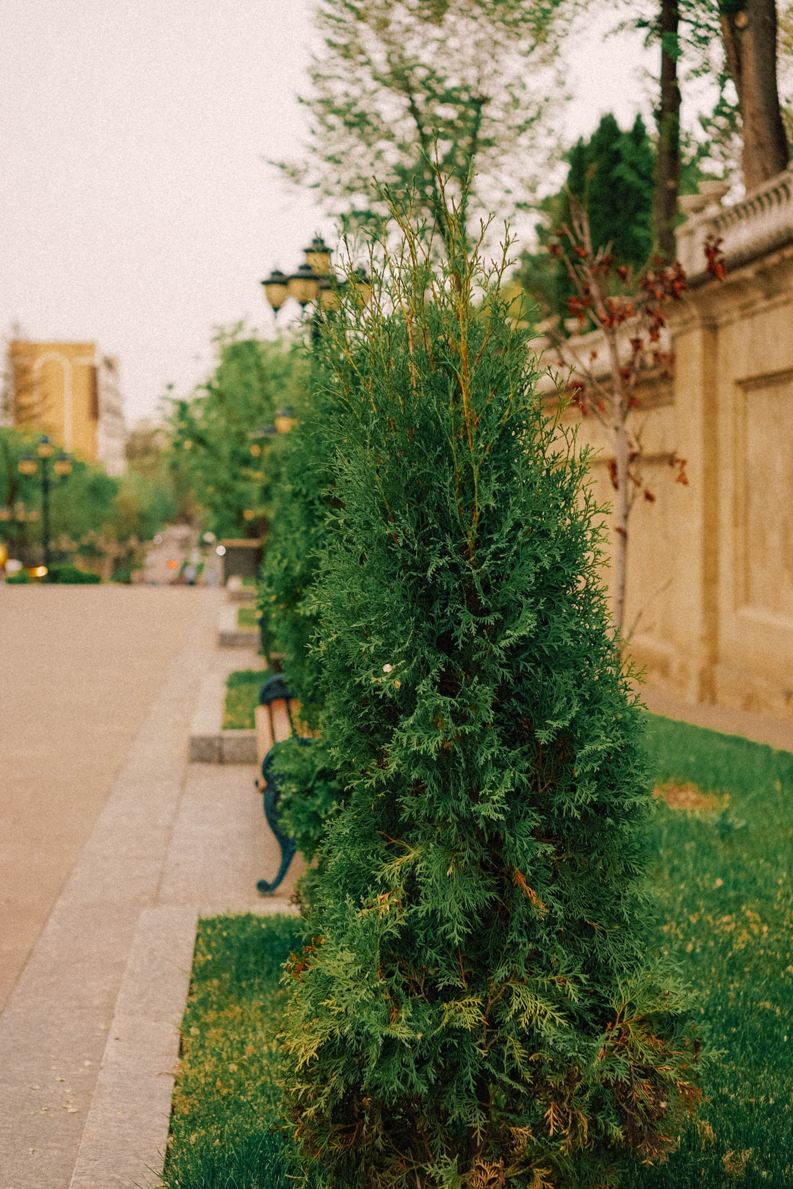 КИСЛОВОДСК. Профессиональный фотограф, Санкт-Петербург — Виктория Богомолова