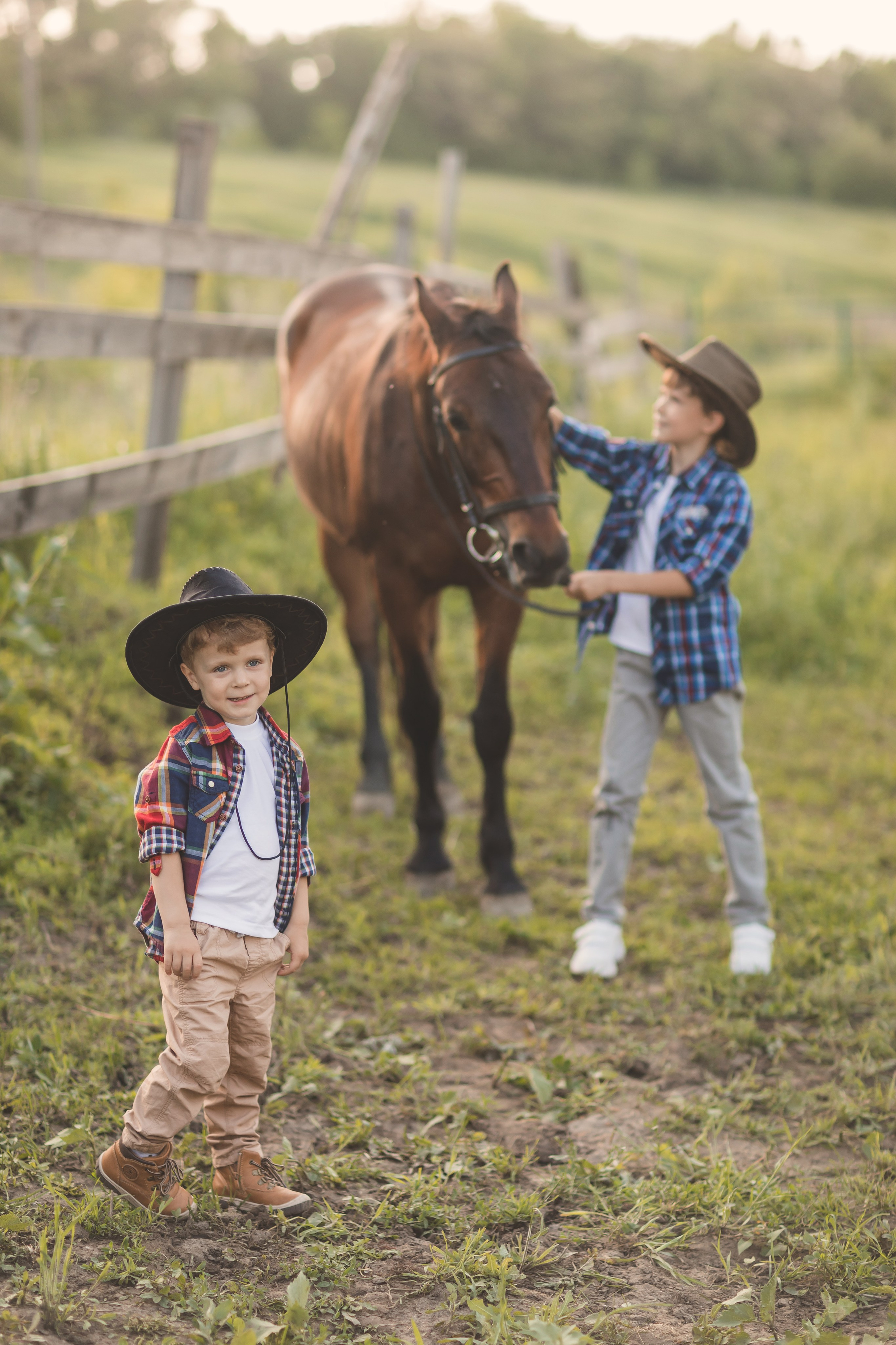 Лошадки. Семейный и детский фотограф Краснодар Валерия Власенко