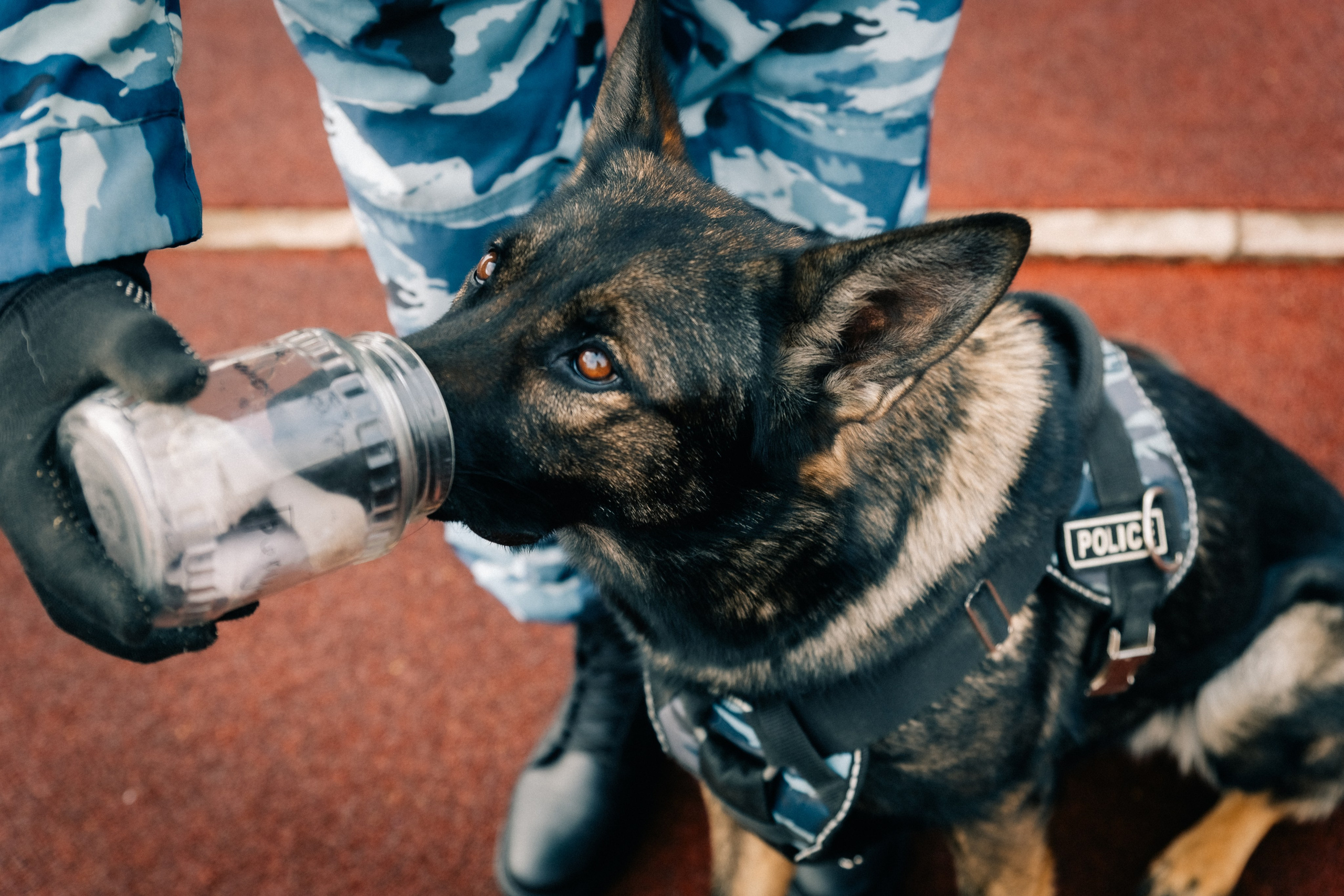 Проект для ГУ МВД г. Москва. Фотограф в Москве и МО Влада Обласова