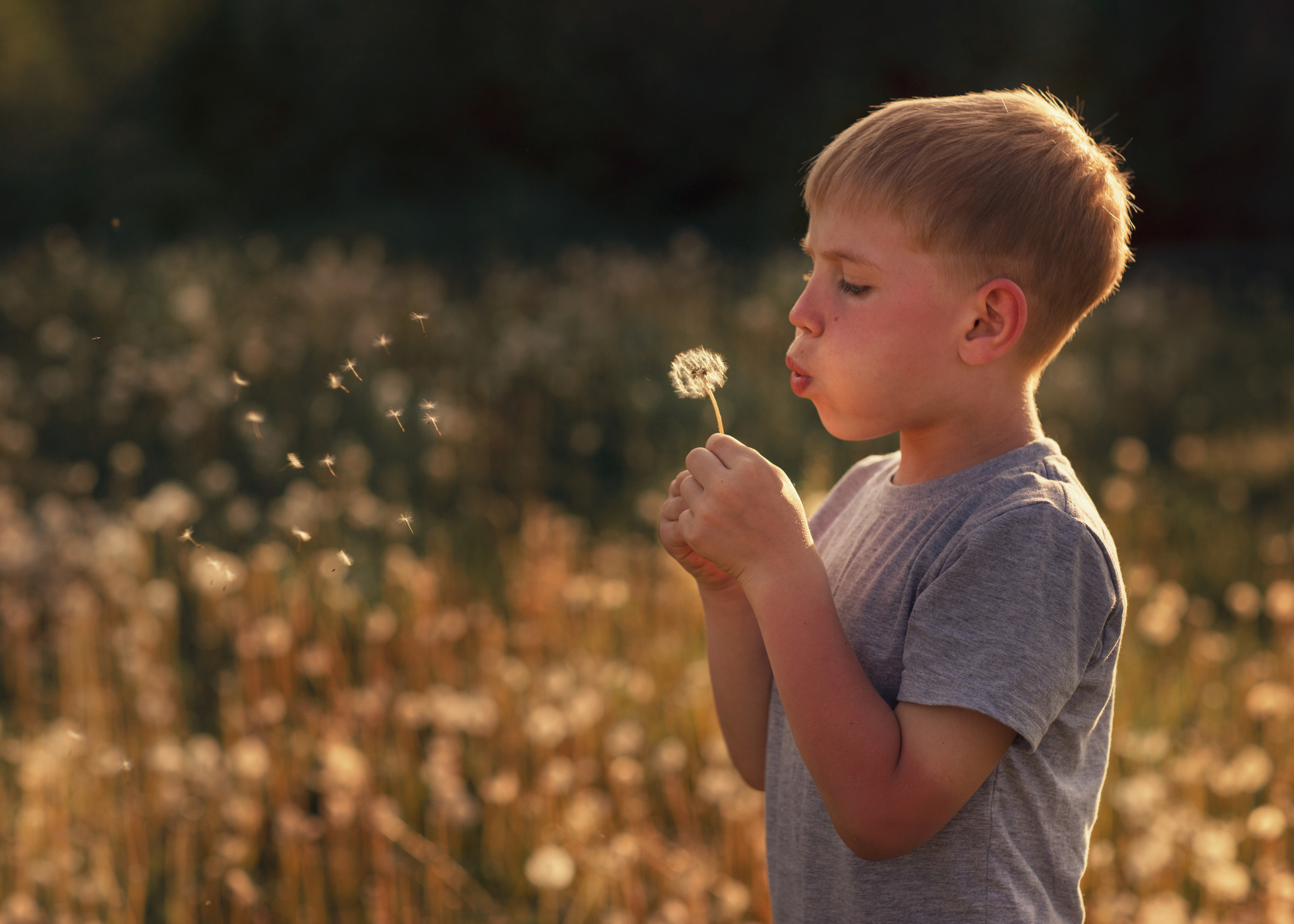 Детская. Арина Рябова — ваш личный фотограф