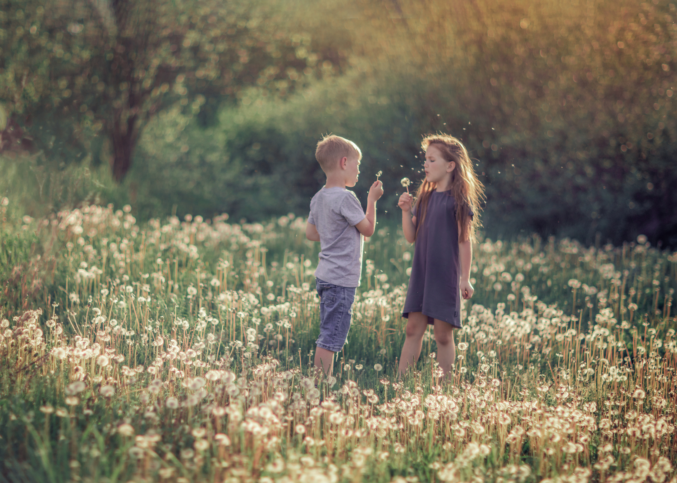 Детская. Арина Рябова — ваш личный фотограф