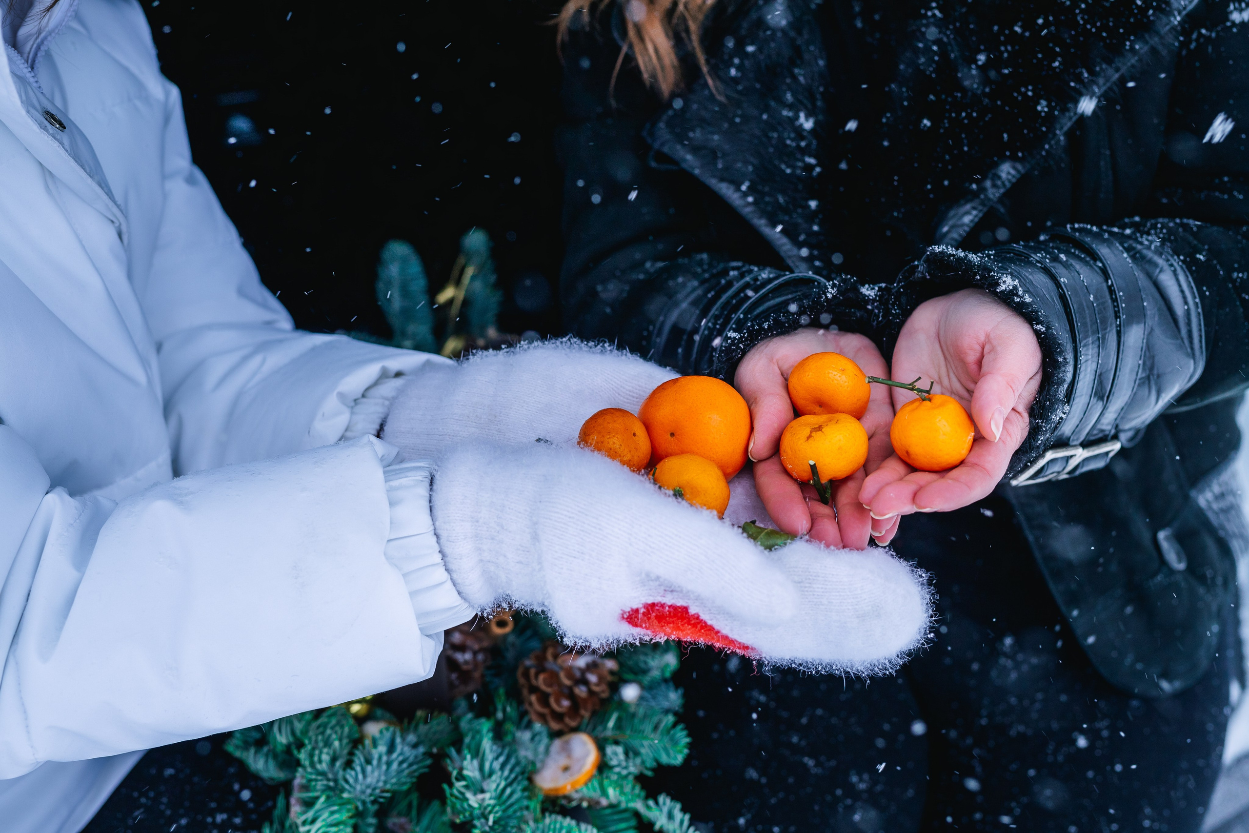L&N. Семейный и детский фотограф по Москве и области