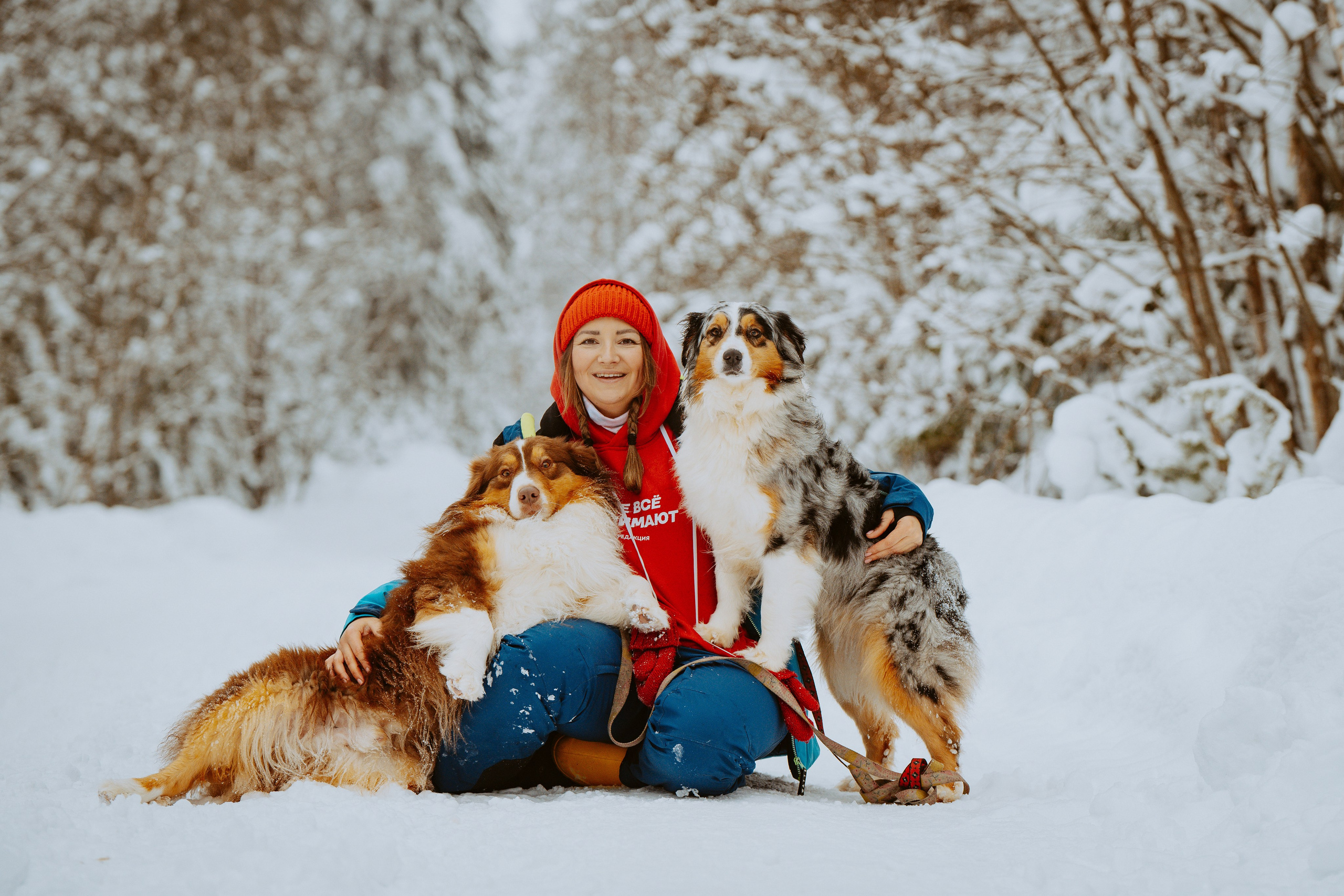 Дог трекинг. Фотограф анималист в Спб недорого Олеся Майорова