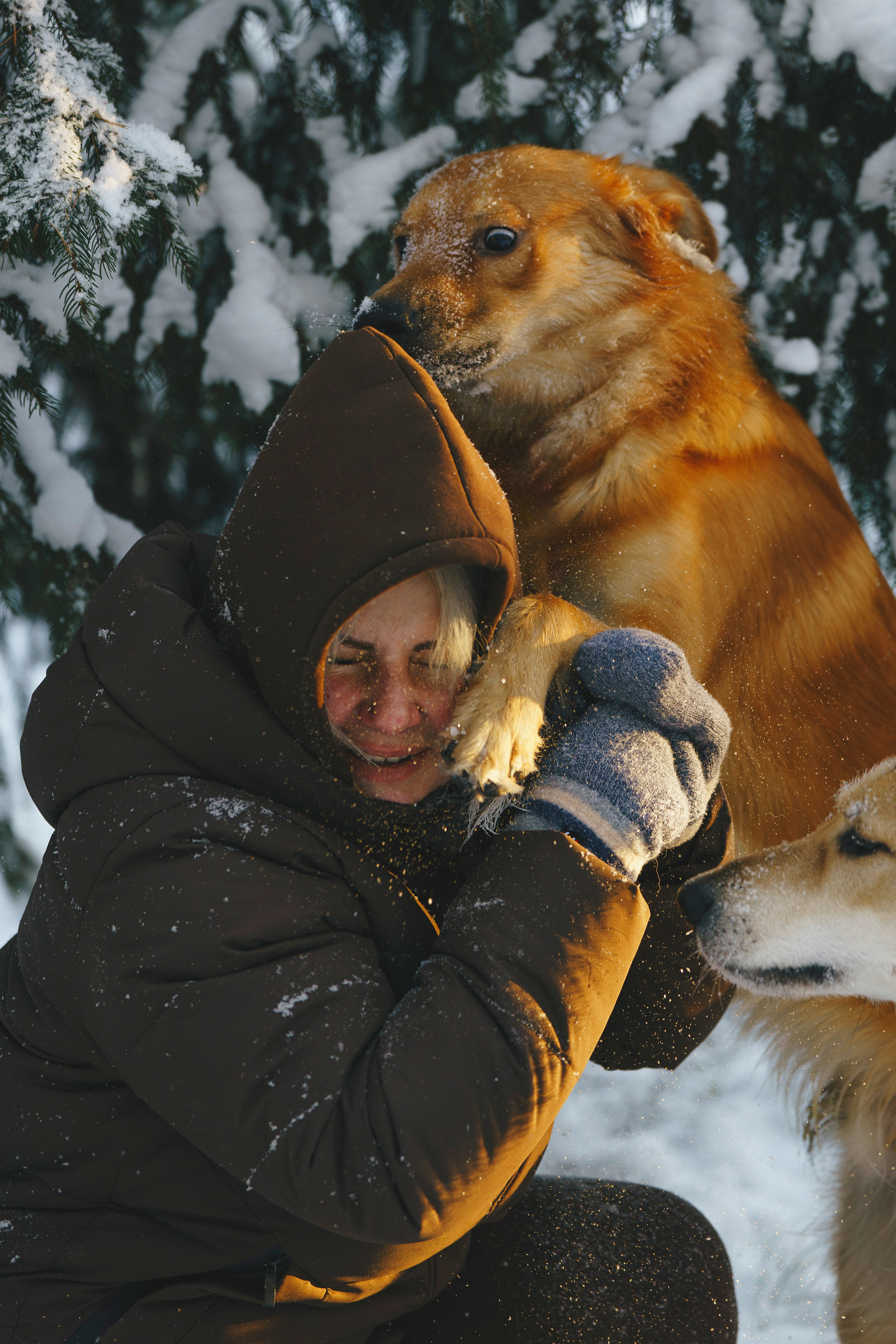 Рэй, Кузя, Ольга и Александр. Фотограф анималист в Спб недорого Олеся Майорова