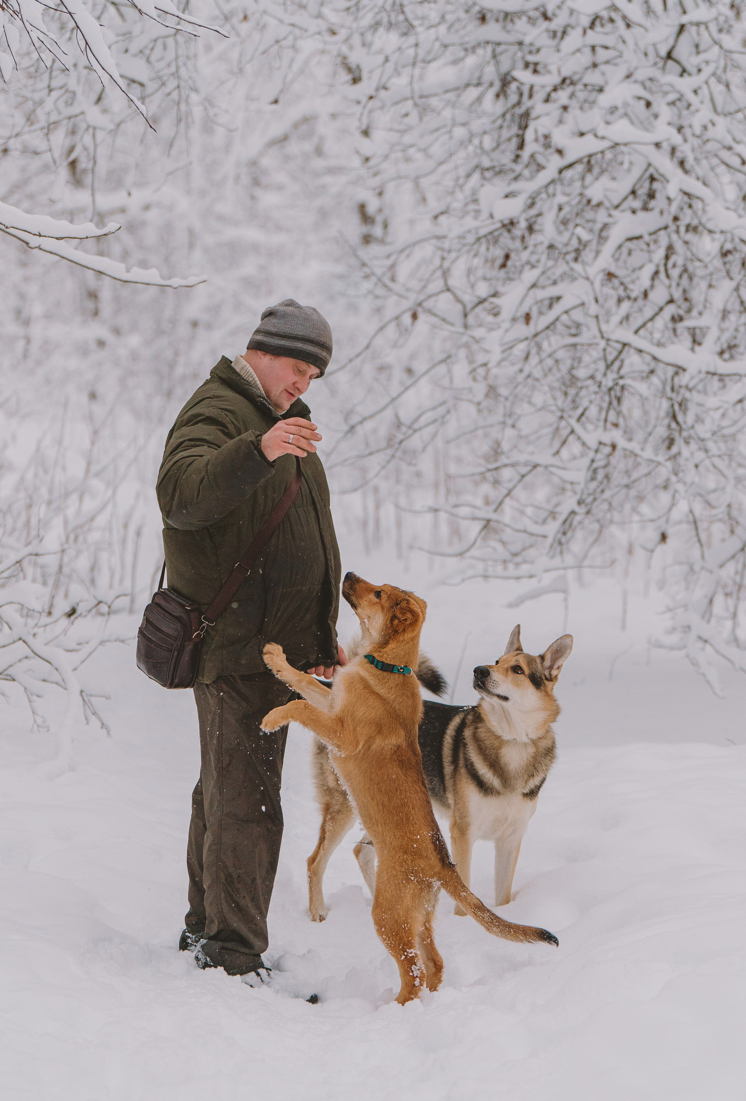 Фотосессия с питомцами на природе. Фотограф анималист в Спб недорого Олеся Майорова