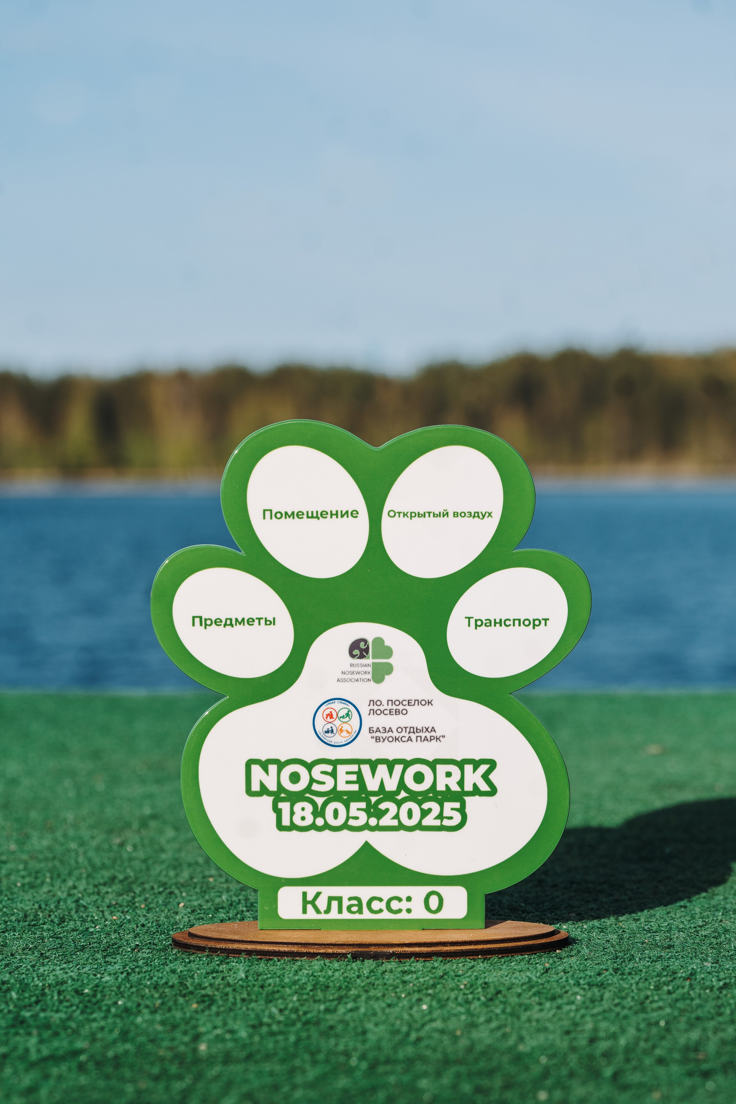 Соревнования по ноузворку в Лосево. Фотограф анималист в Спб недорого Олеся Майорова