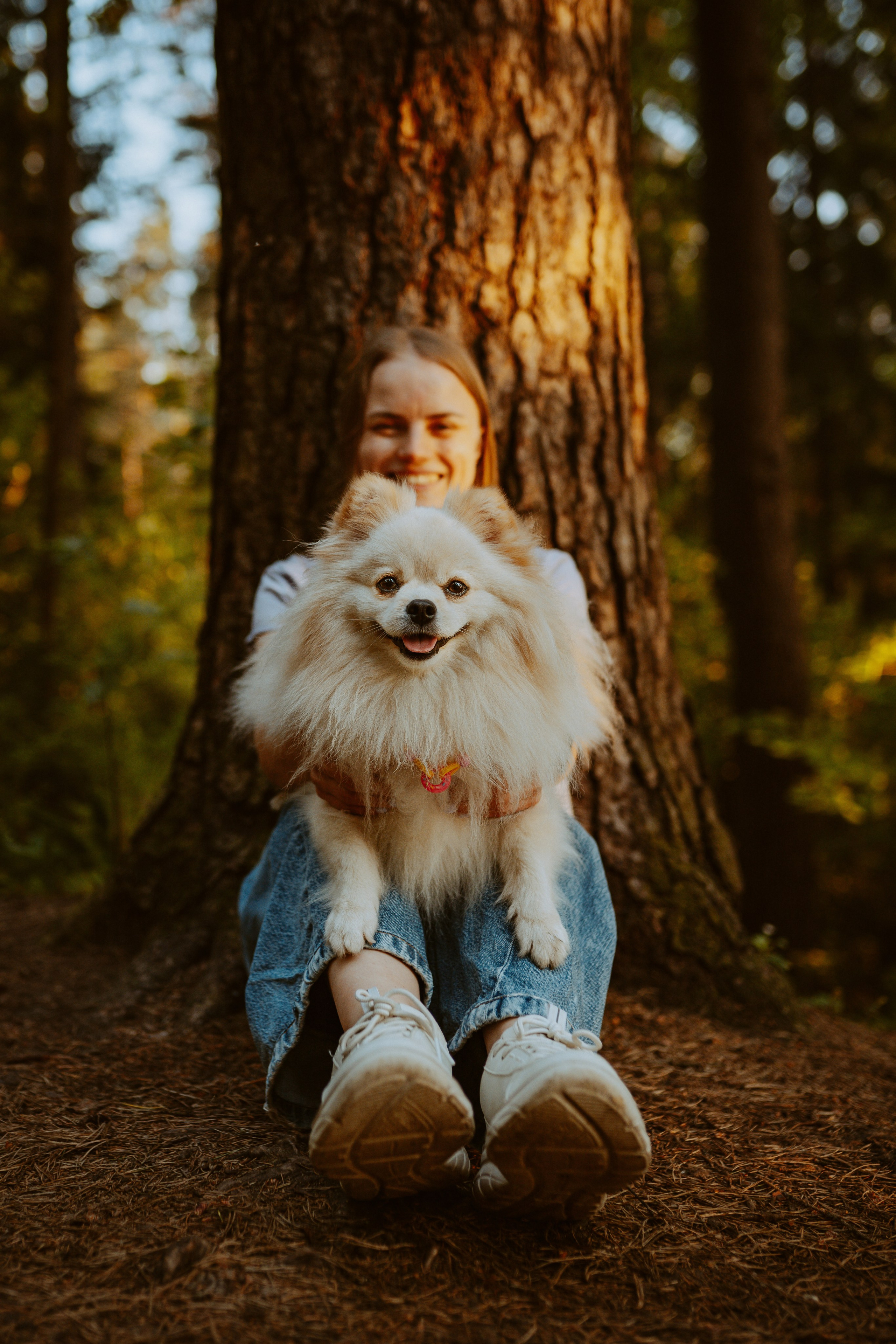 Фотосессия с собачкой в лесу. Фотограф анималист в Спб недорого Олеся Майорова