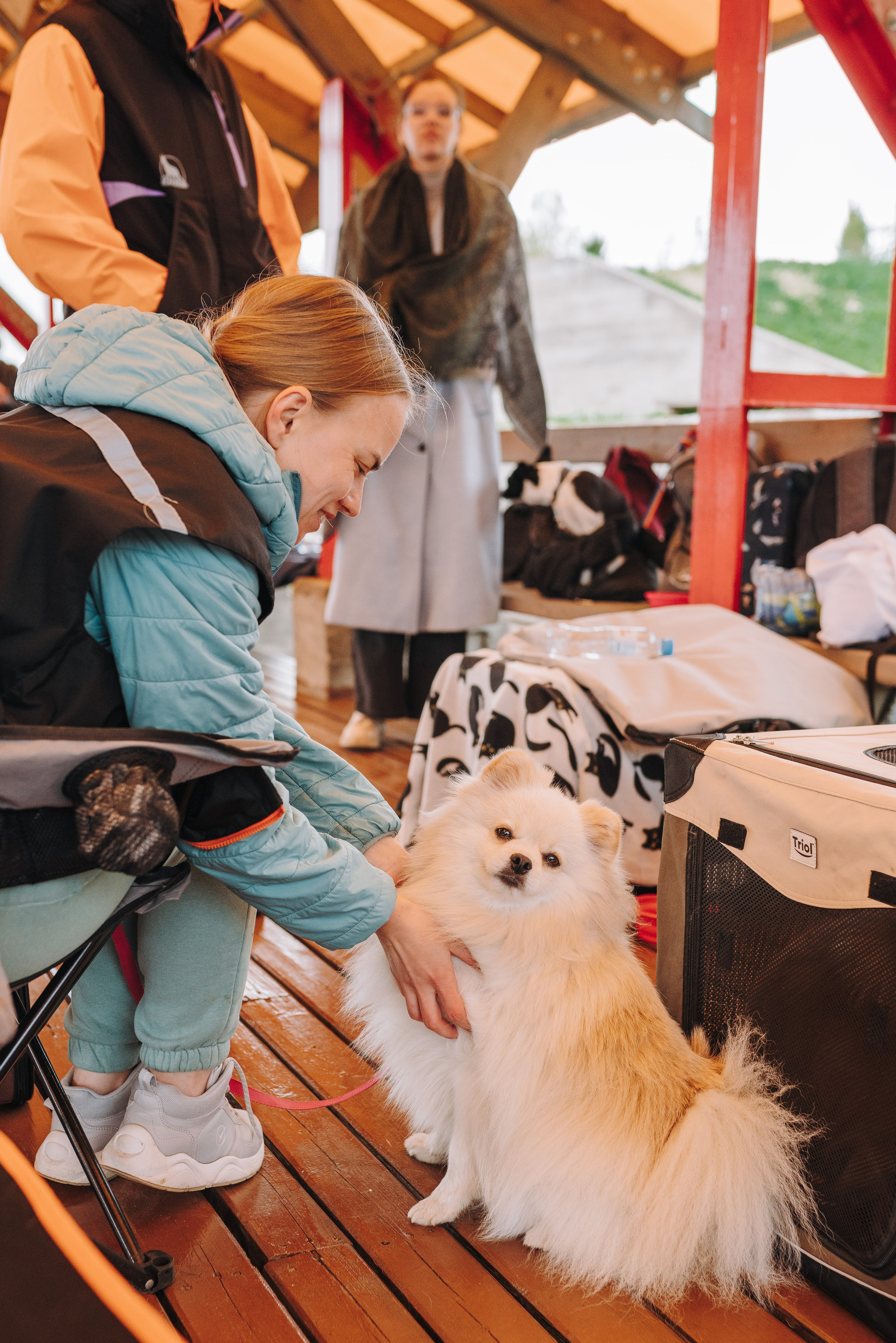 Соревнования по ноузворку в Лосево. Фотограф анималист в Спб недорого Олеся Майорова