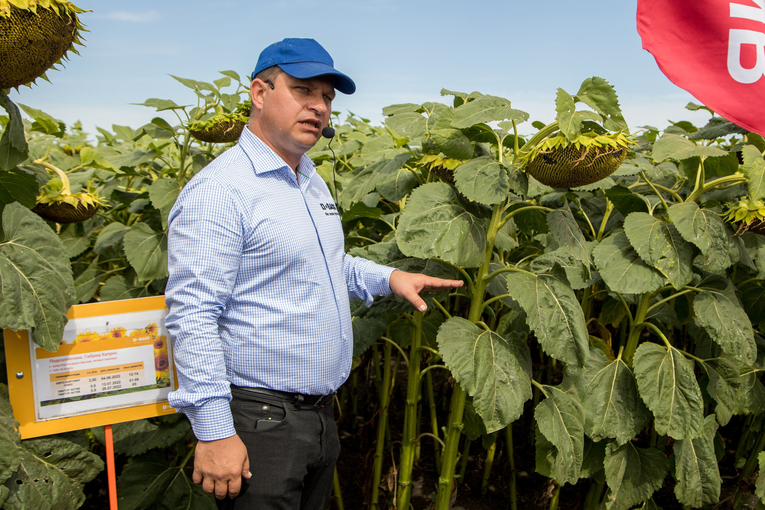 Решения для сельского хозяйства BASF 16.08.2022. Владислав Волков | Фотография и видеосъемка в Воронеже