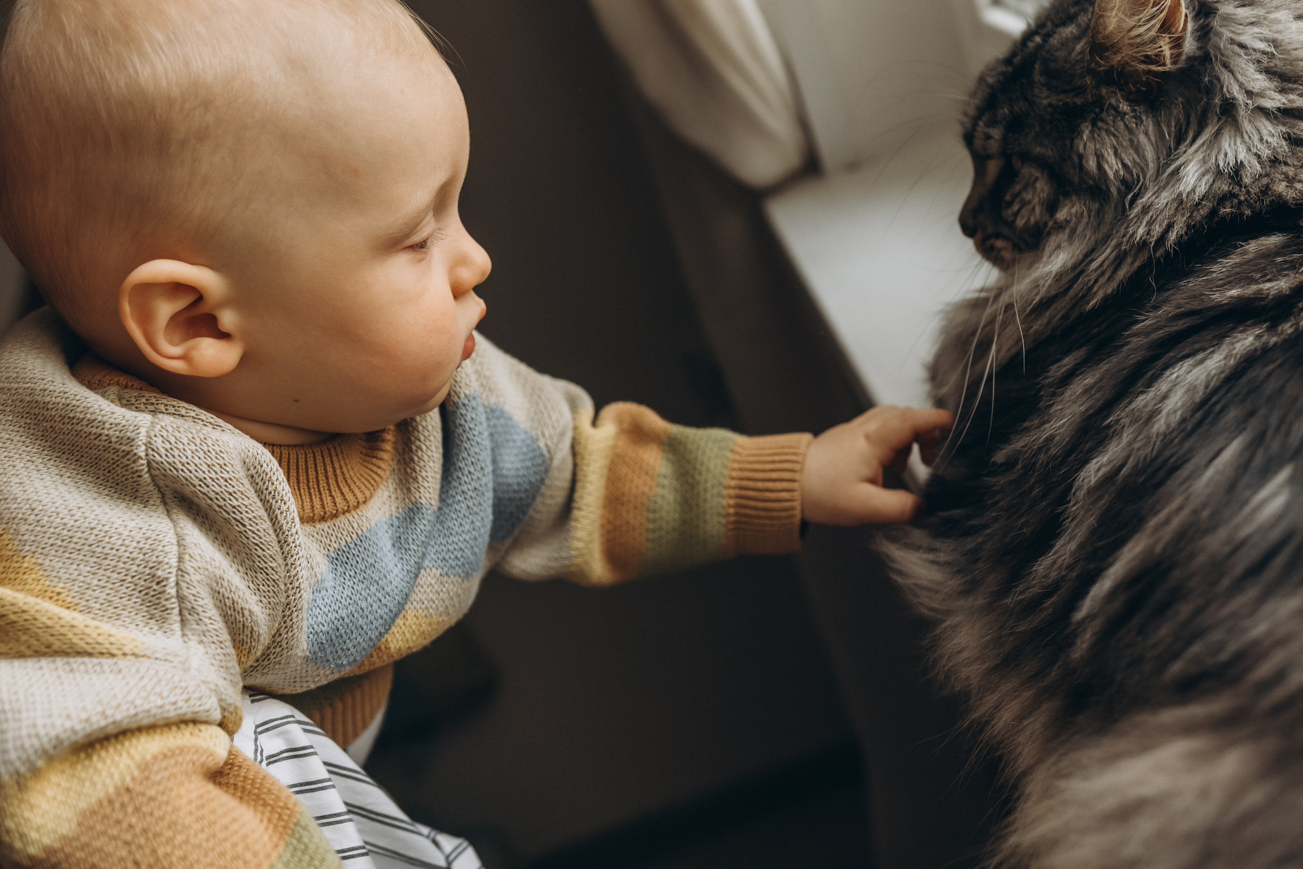 Федор. Гаврилова Настя семейный фотограф lifestyle в Москве